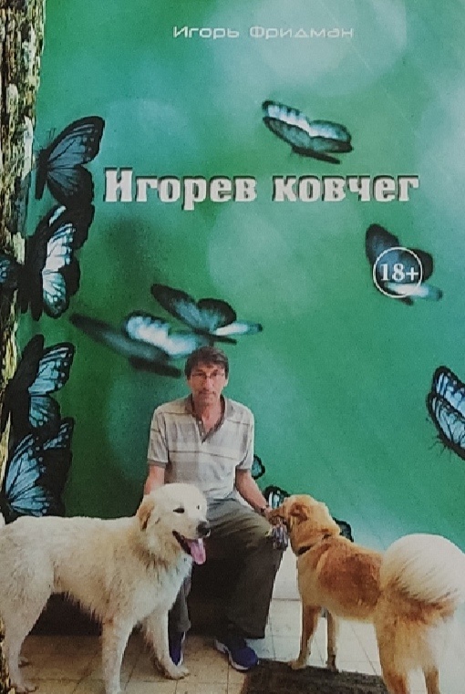 Обложка: Игорев ковчег. Фридман Игорь
