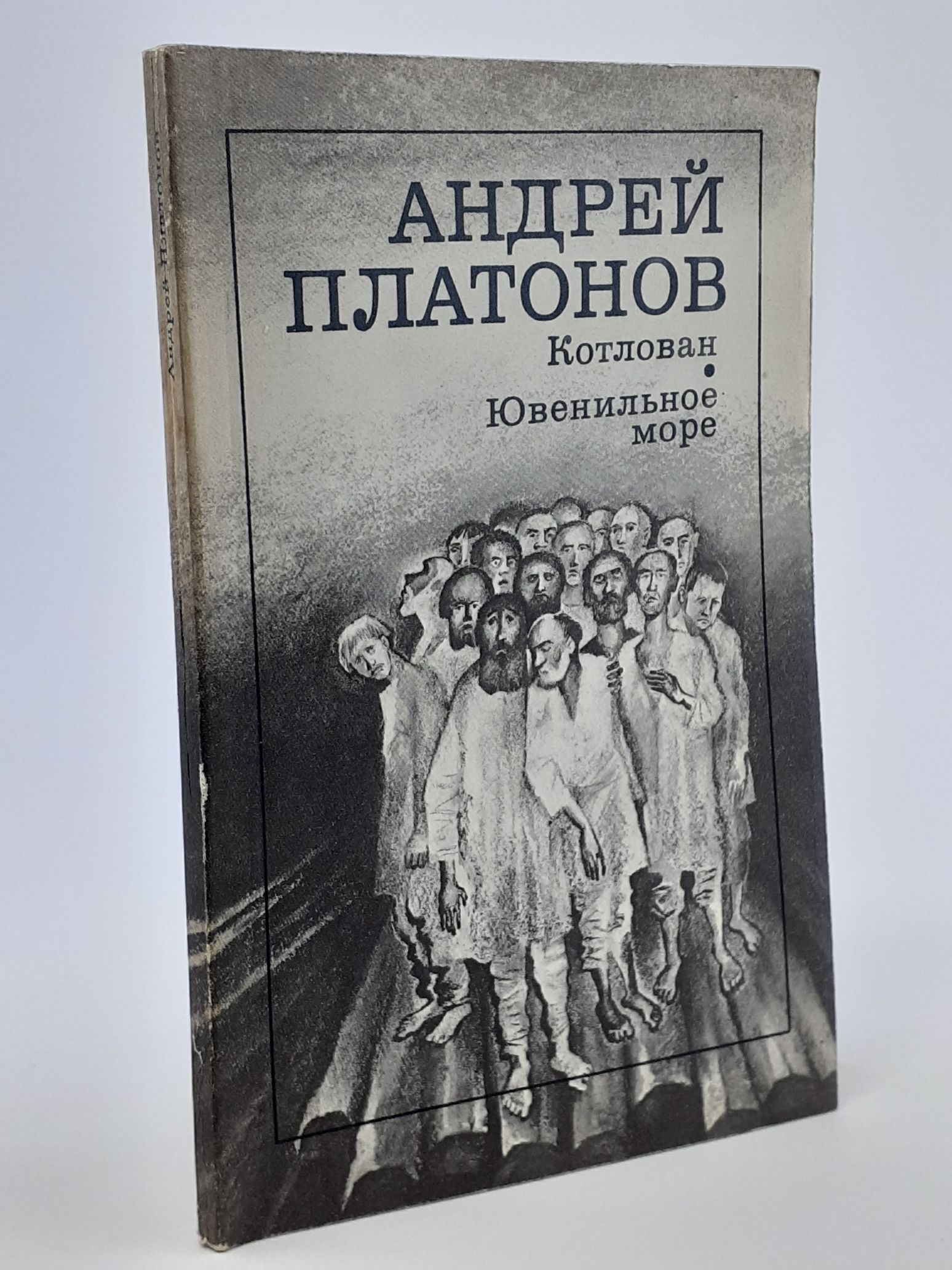 Обложка: Котлован. Ювенильное море