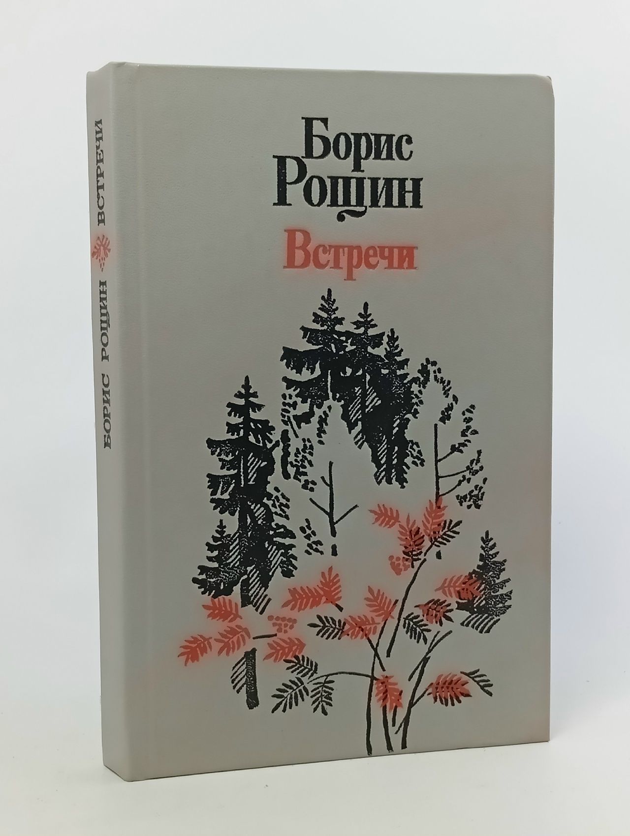 Обложка: Встречи . Рощин Борис Алексеевич