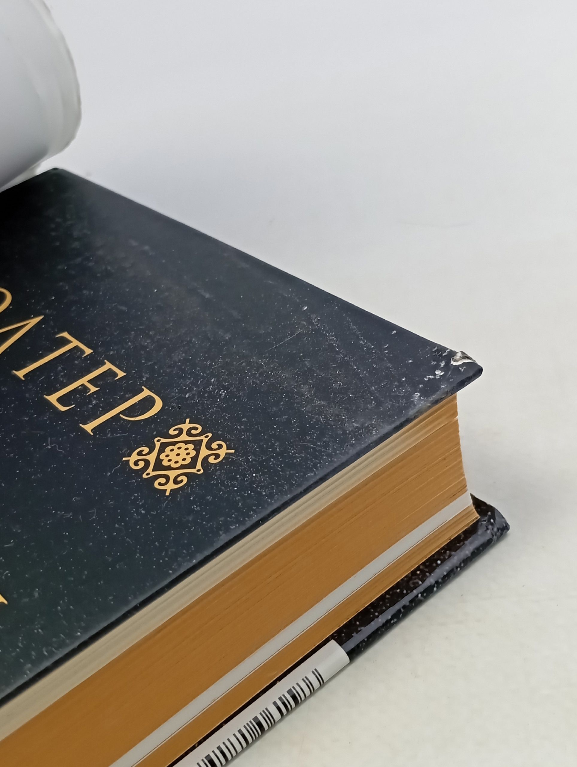 Леонардо да Винчи