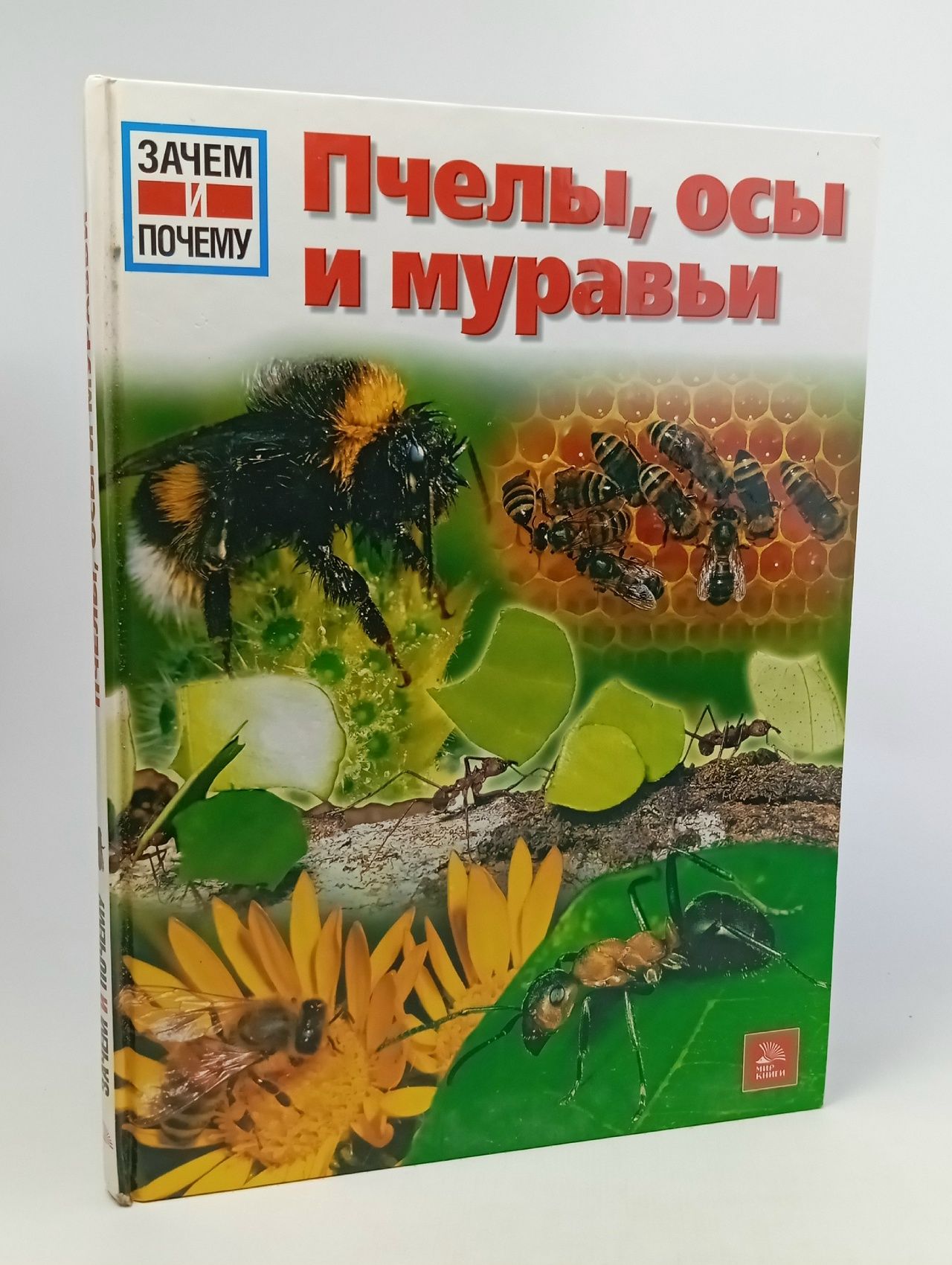 Обложка: Пчелы, осы и муравьи
