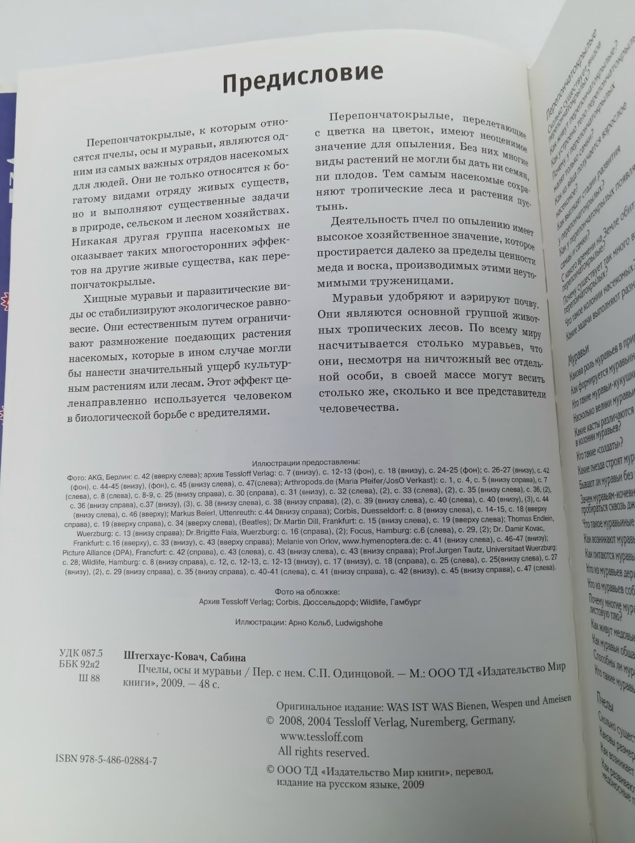 Пчелы, осы и муравьи