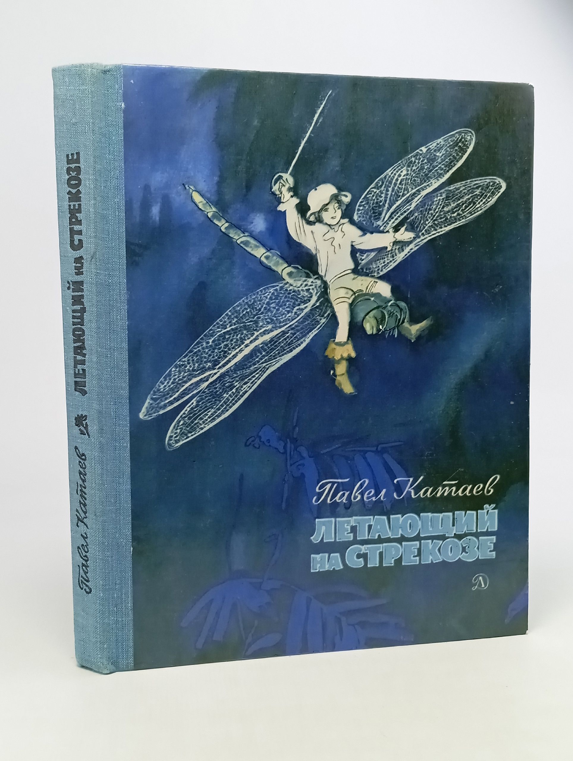 Обложка: Летающий на стрекозе