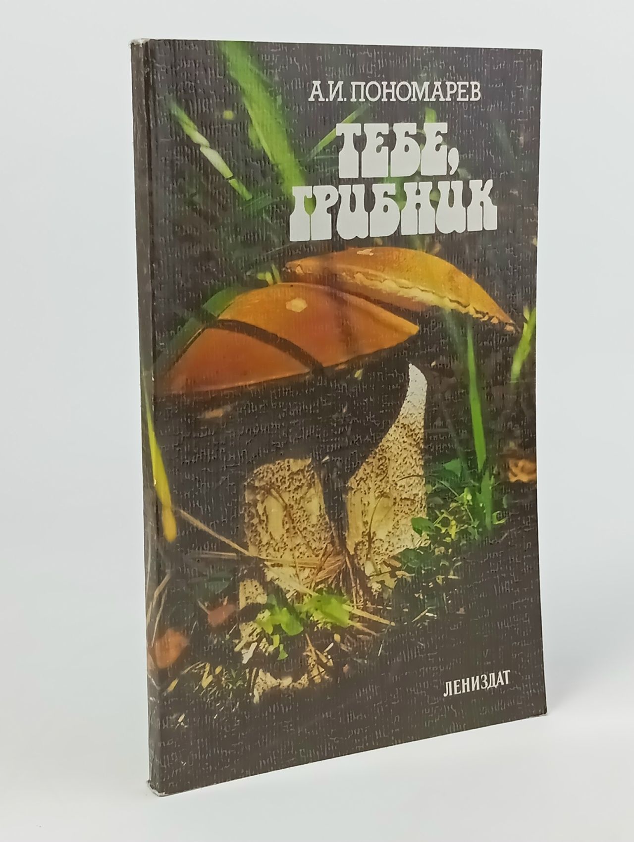 Обложка: Тебе, грибник