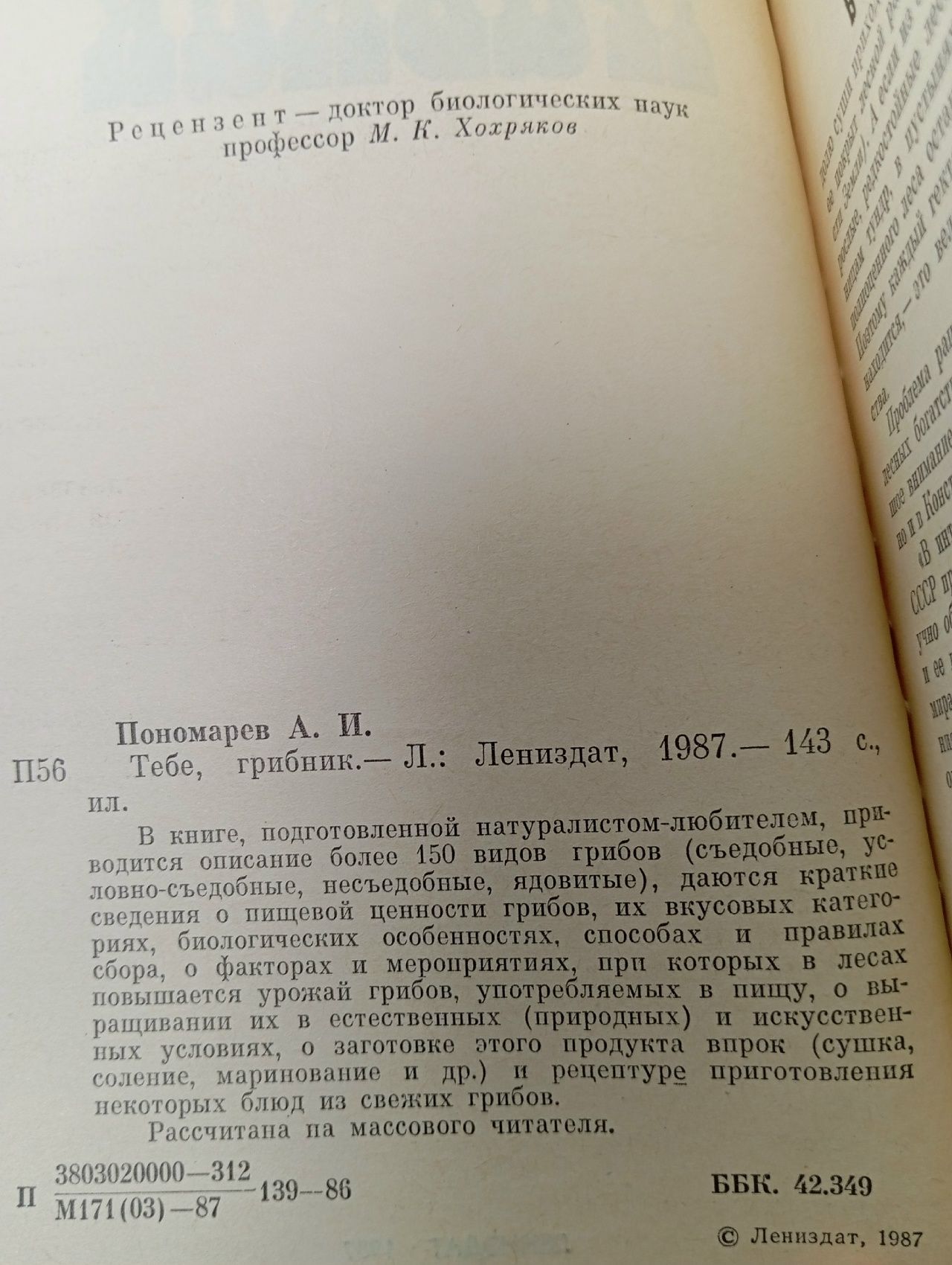 Тебе, грибник