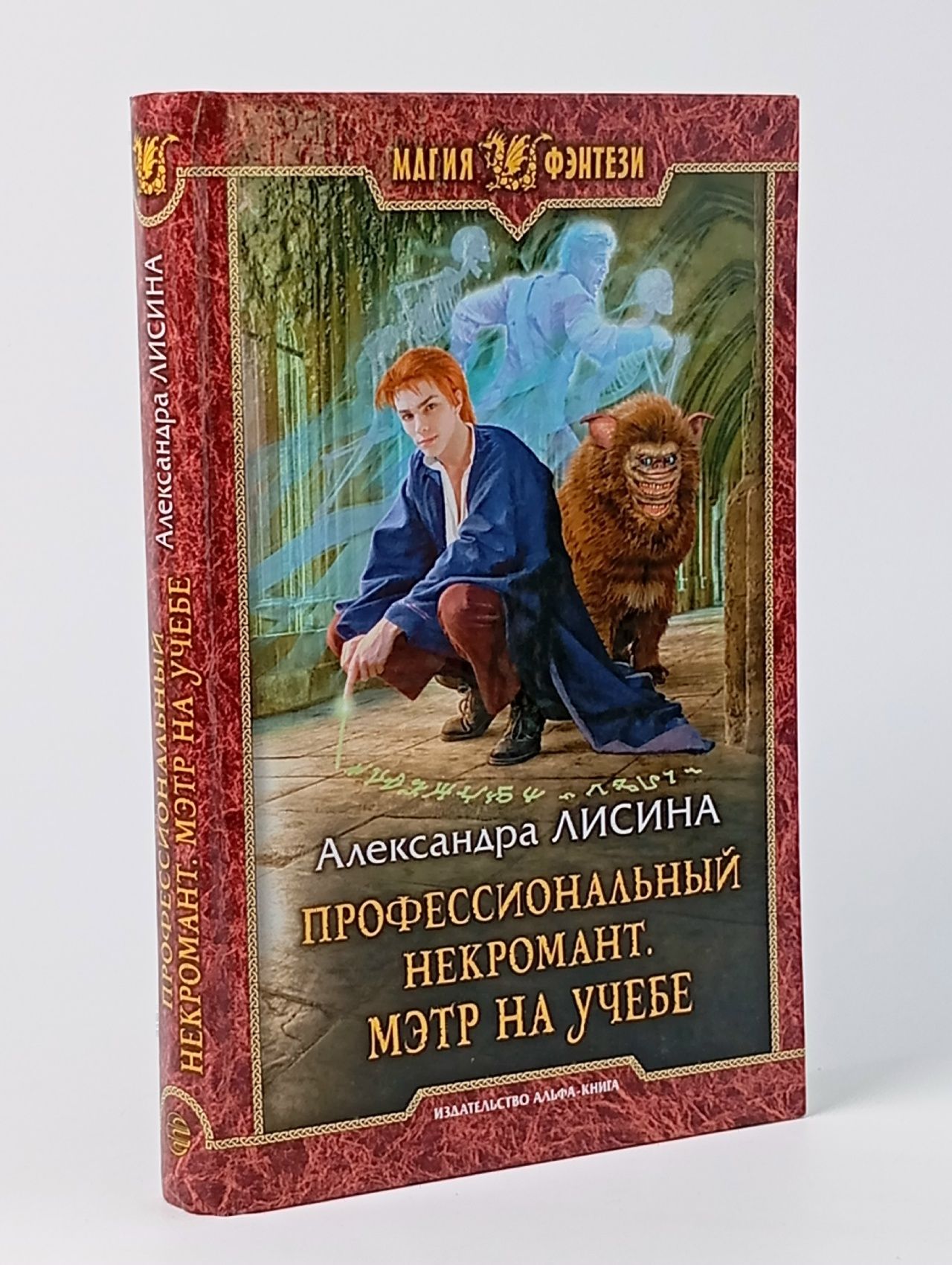 Обложка: Профессиональный некромант. Мэтр на учебе