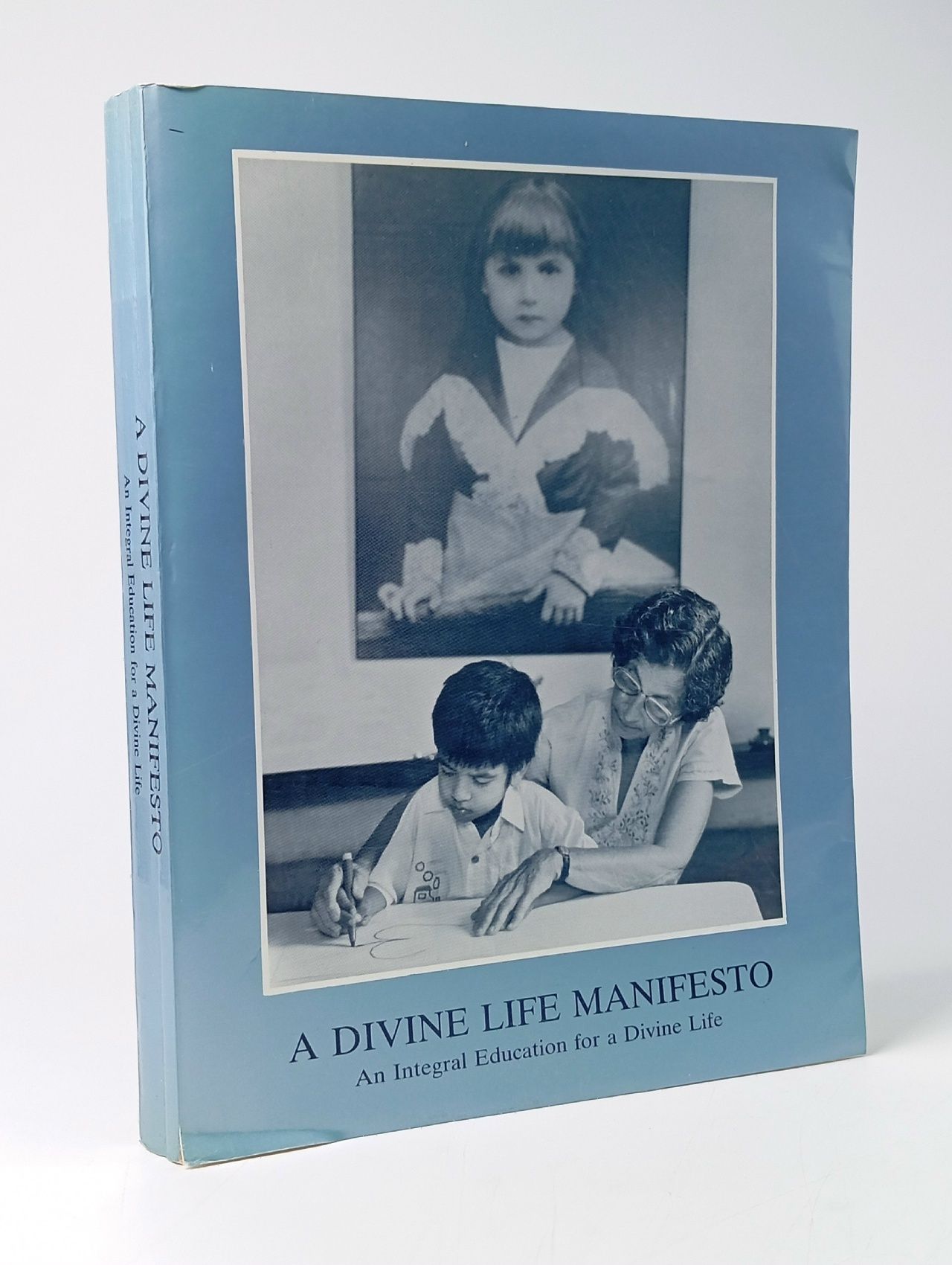 Обложка: A DIVINE LIFE MANIFESTO An Integral Education for a Divine Life