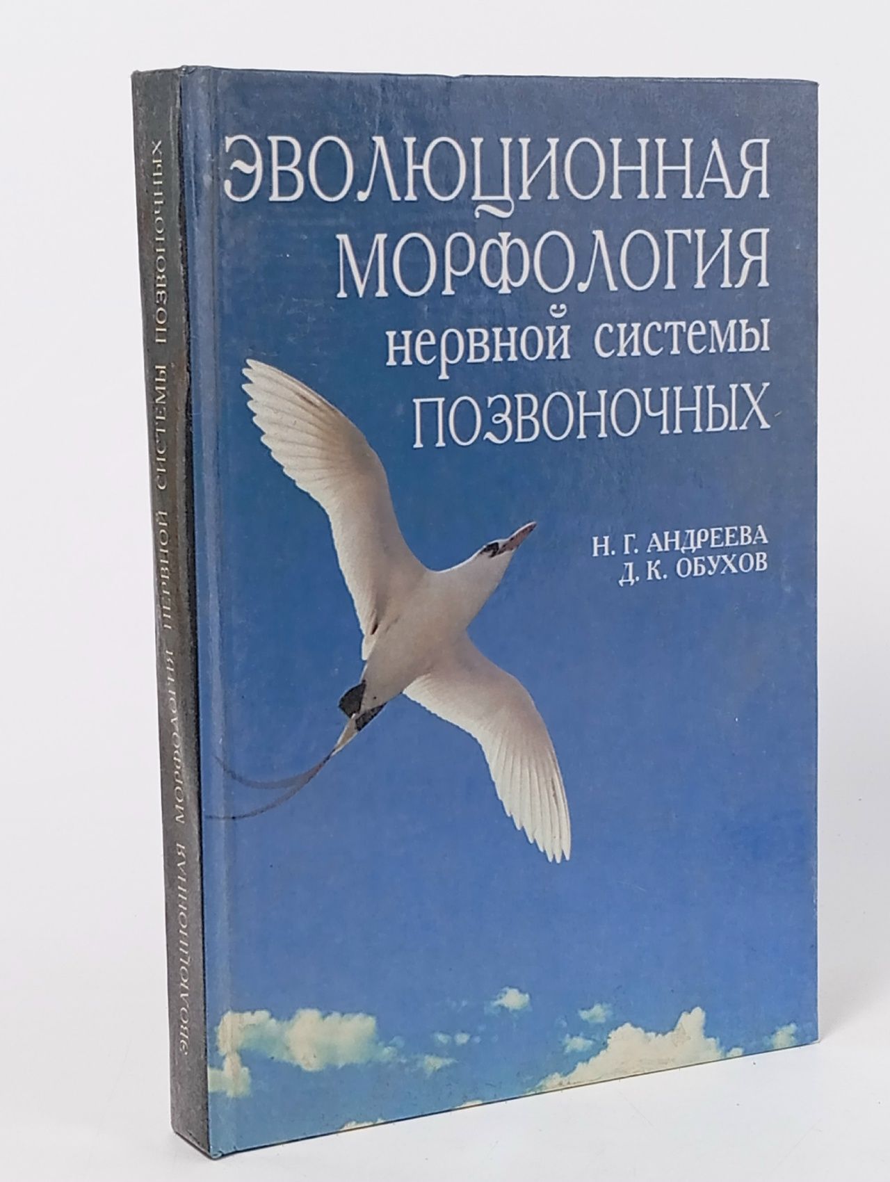 Обложка: Эволюционная морфология нервной системы позвоночных Андреева Надежда Геннадиевна, Обухов Дмитрий Константинович