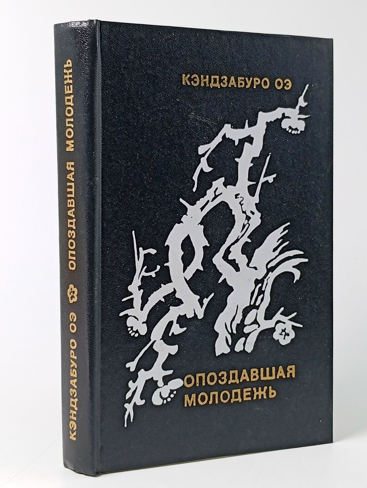 Обложка: Опоздавшая молодежь
