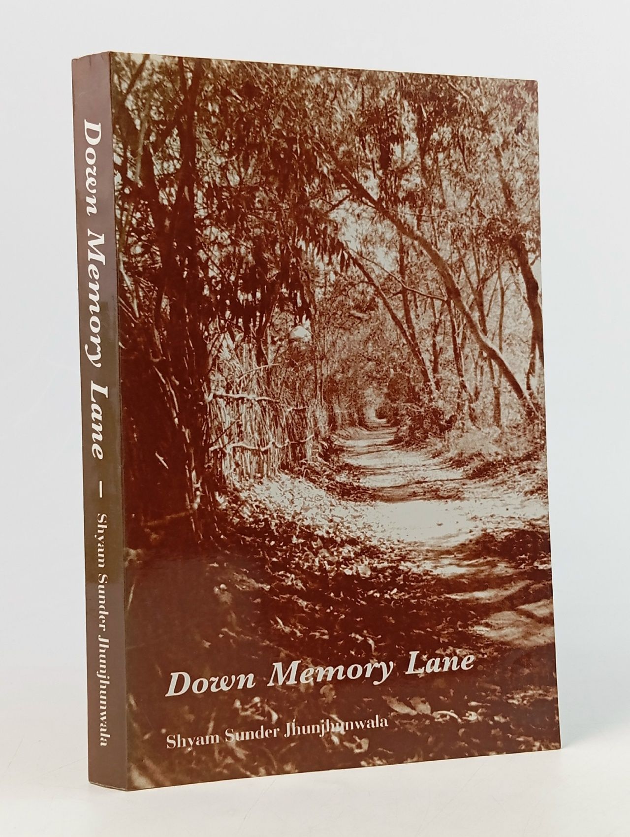 Обложка: Down Memory Lane by Shyam Sunder Jhunjhunwala
