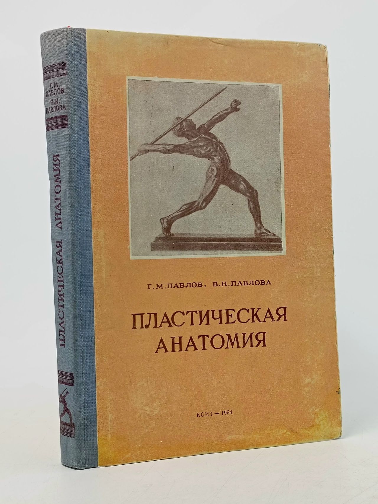 Обложка: Пластическая анатомия Павлов Геннадий Михайлович, Павлова Вера Николаевна