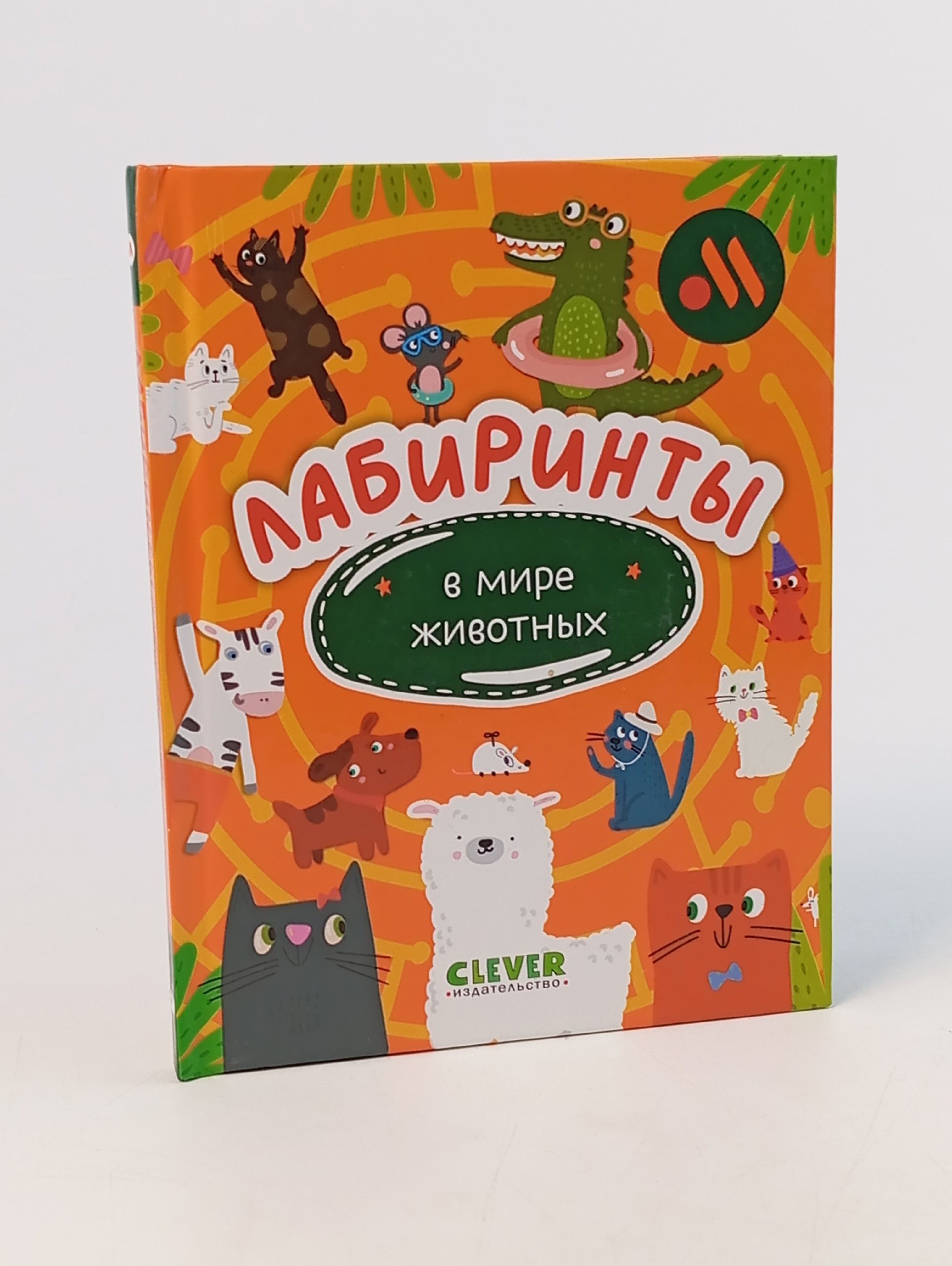 Обложка: Лабиринты в мире животных