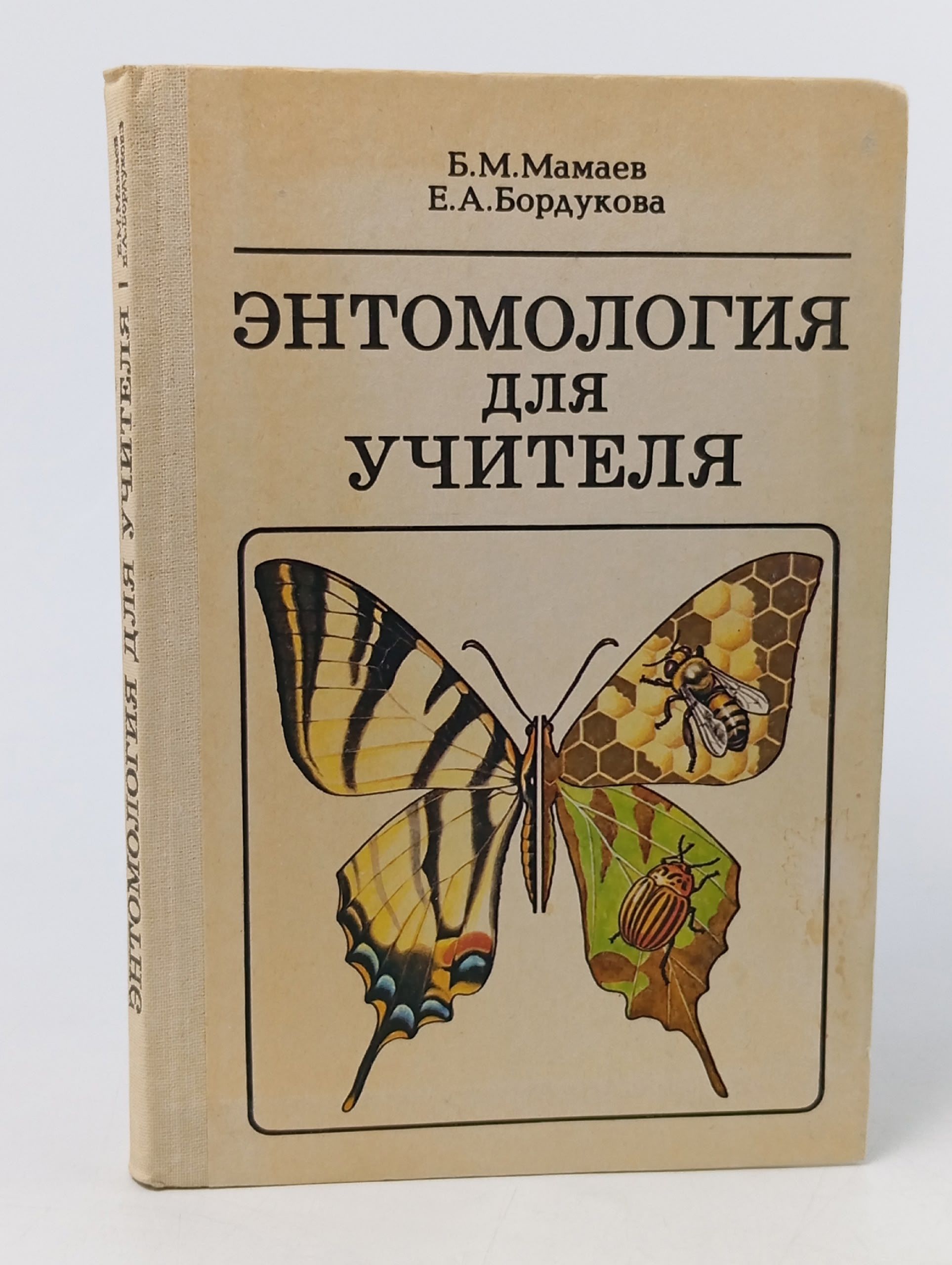 Обложка: Энтомология для учителя Бордукова Евгения Алексеевна, Мамаев Борис Михайлович