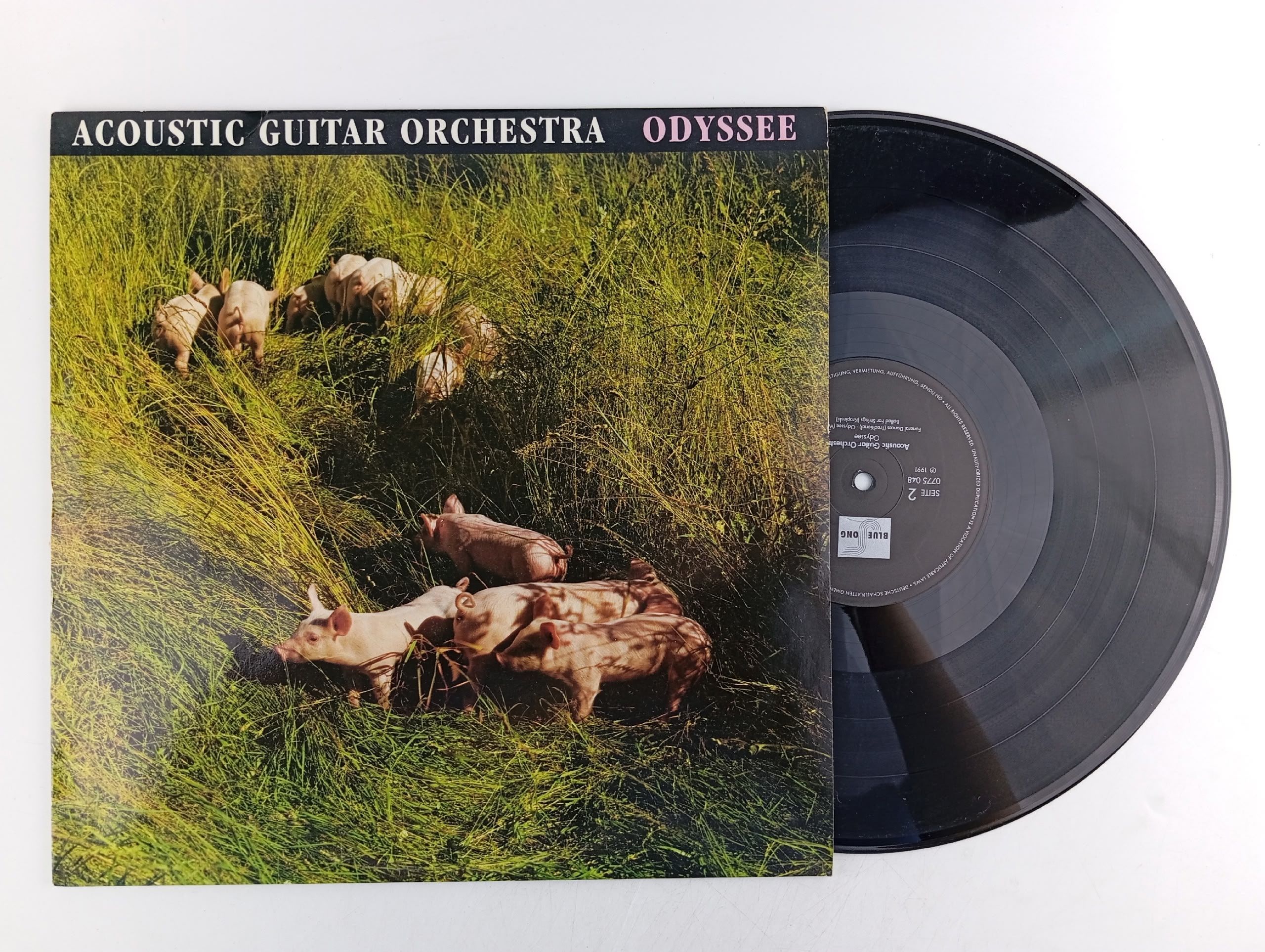 Обложка: Виниловая пластинка Acoustic Guitar Orchestra - Odyssee