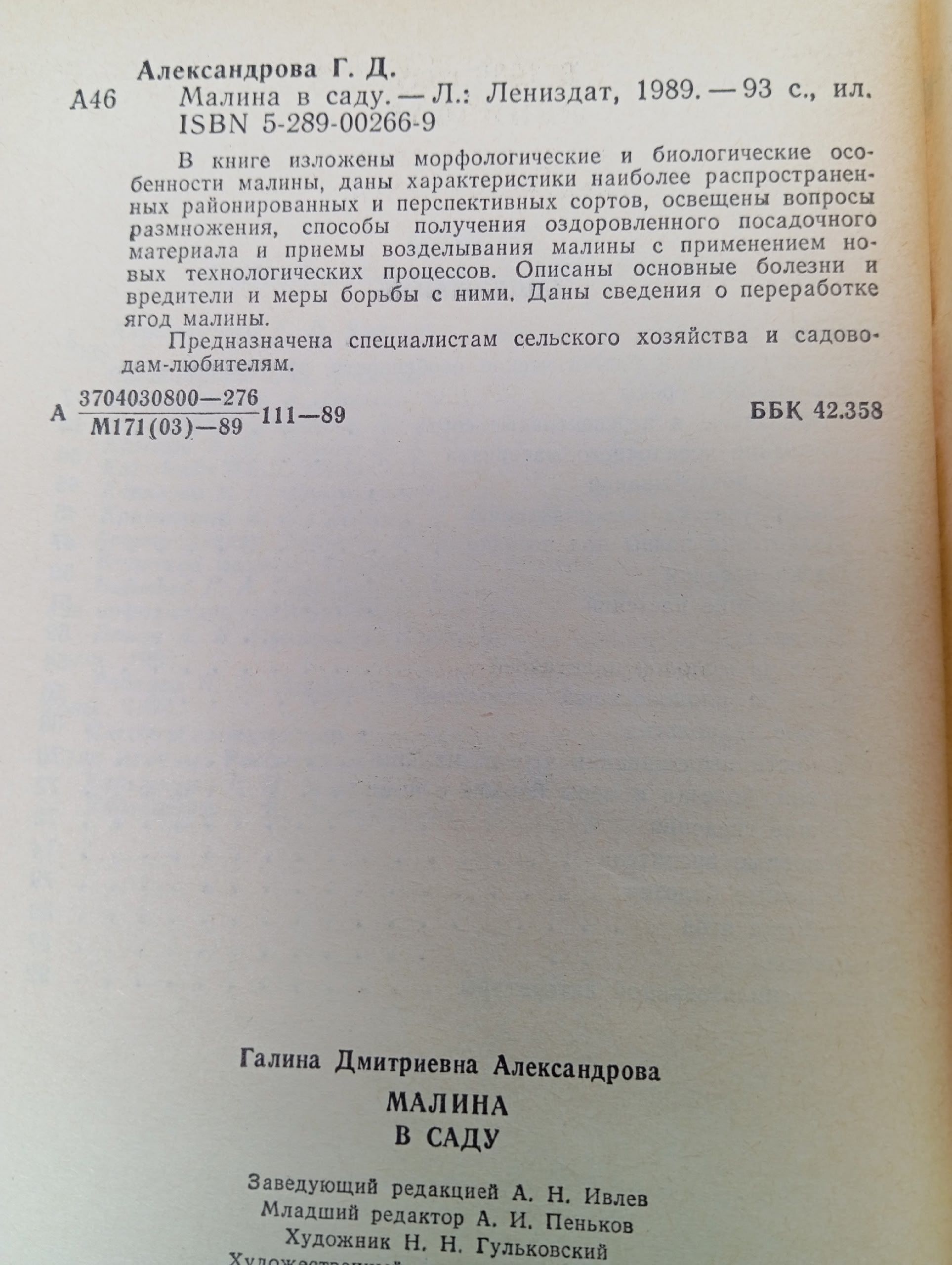 Малина в саду