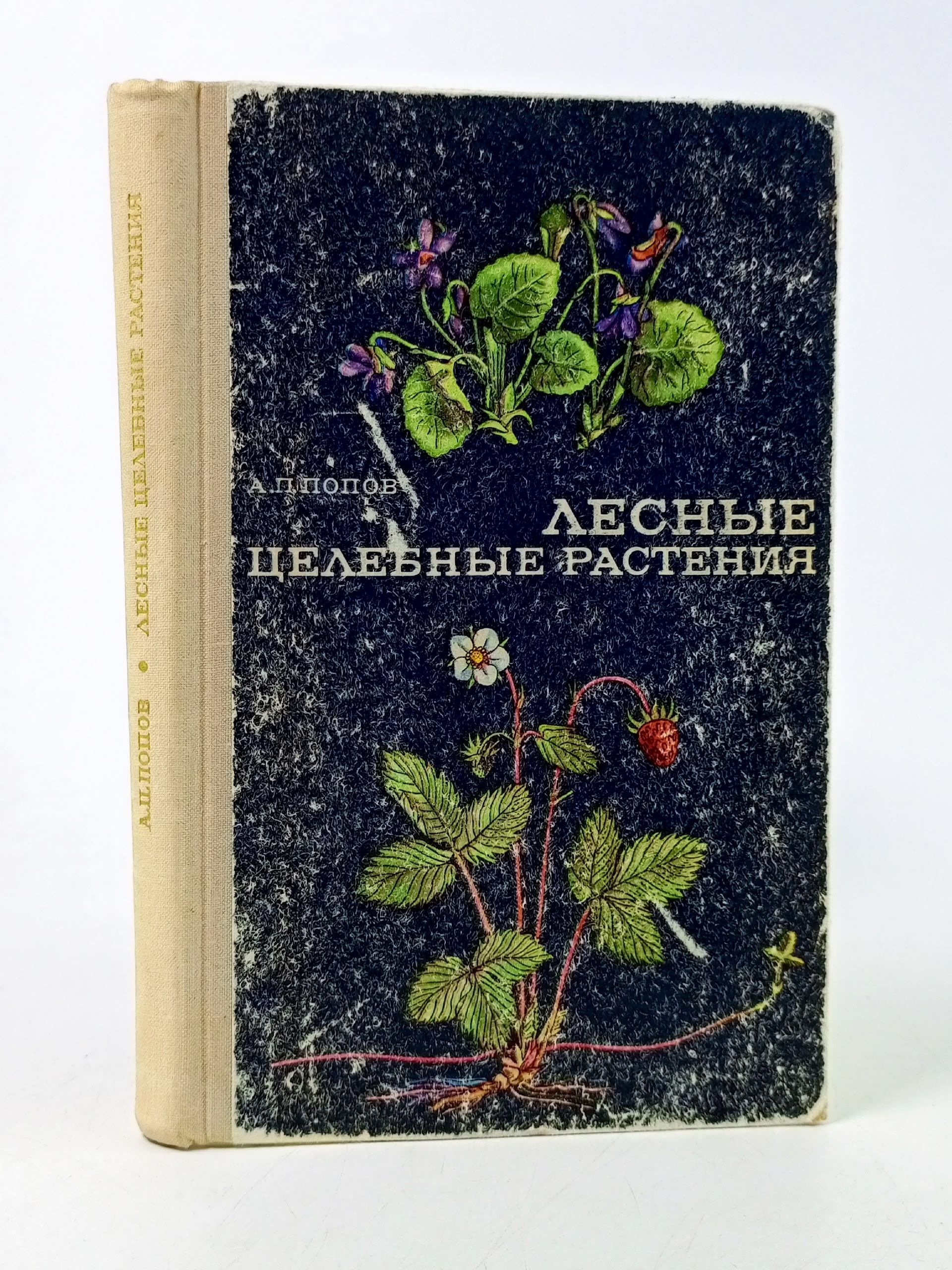 Обложка: А.П. Попов / Лесные целебные растения / 1973 г.и. Попов Алексей Петрович
