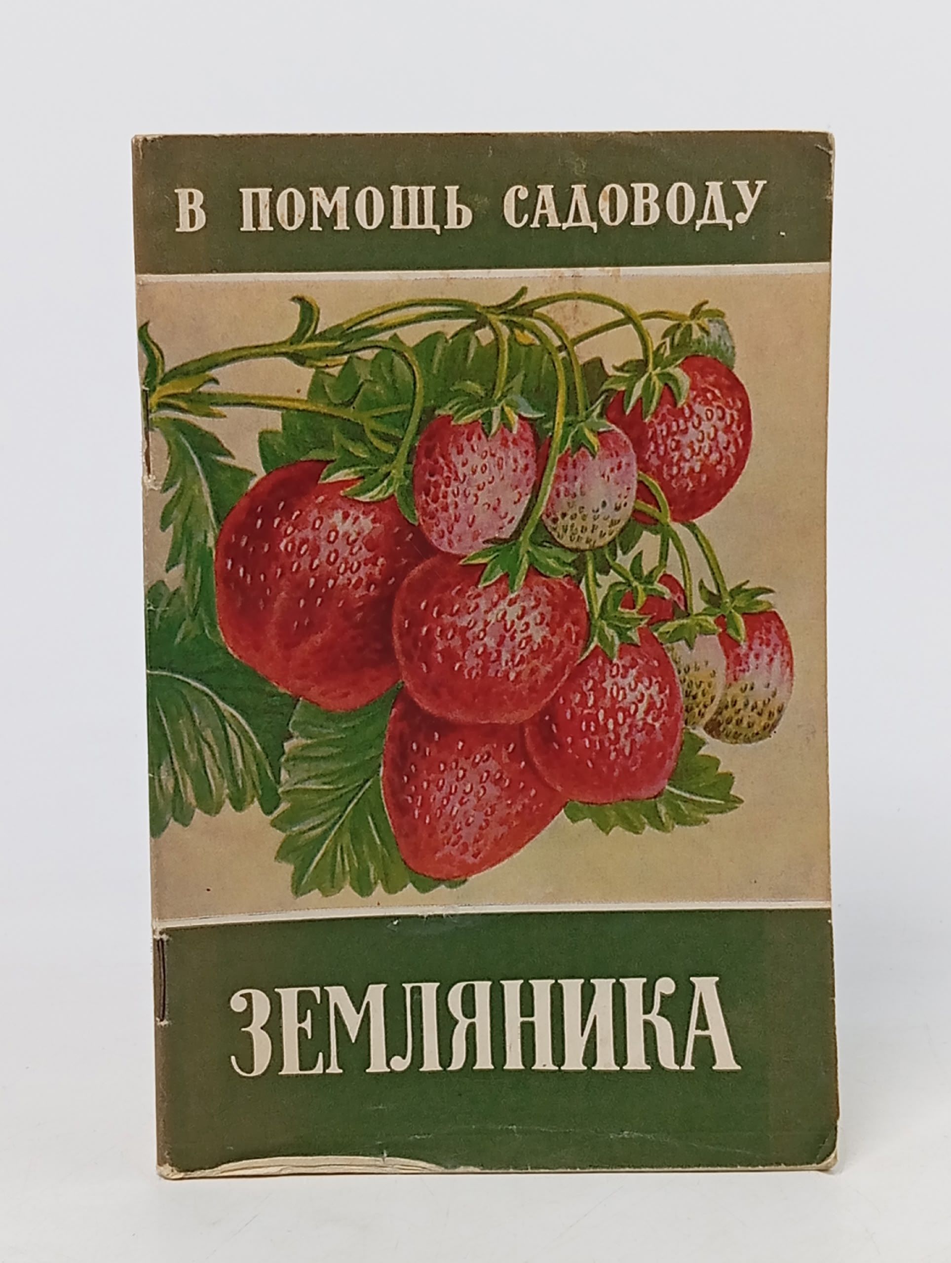 Обложка: Михайлов И. Земляника