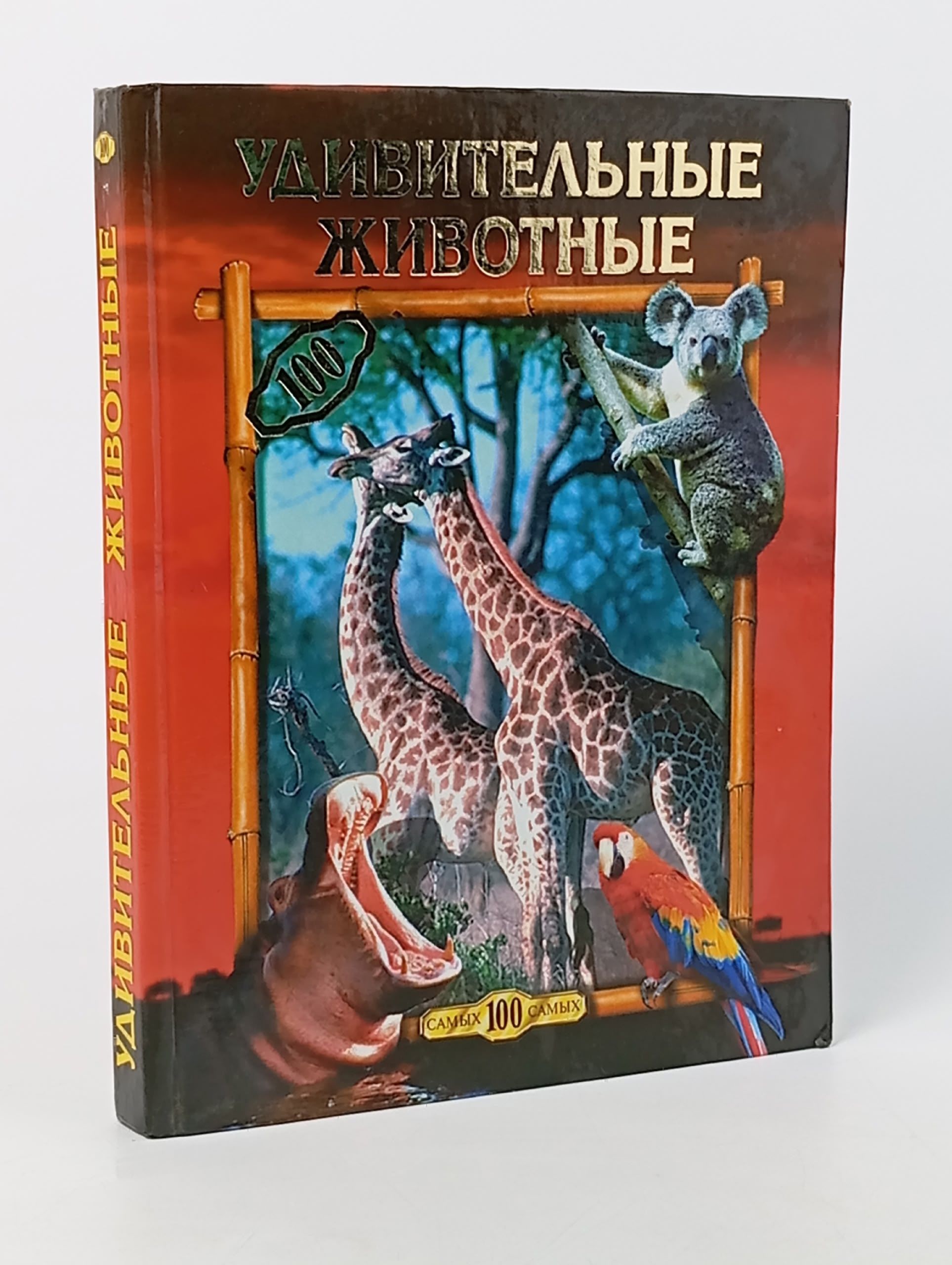 Обложка: Удивительные животные