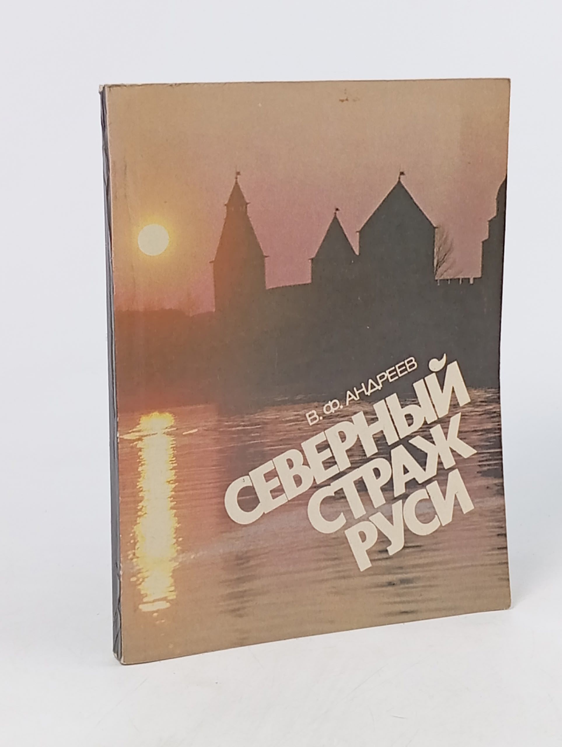 Обложка: Северный страж Руси. Очерки истории средневекового Новгород Андреев Василий Федорович
