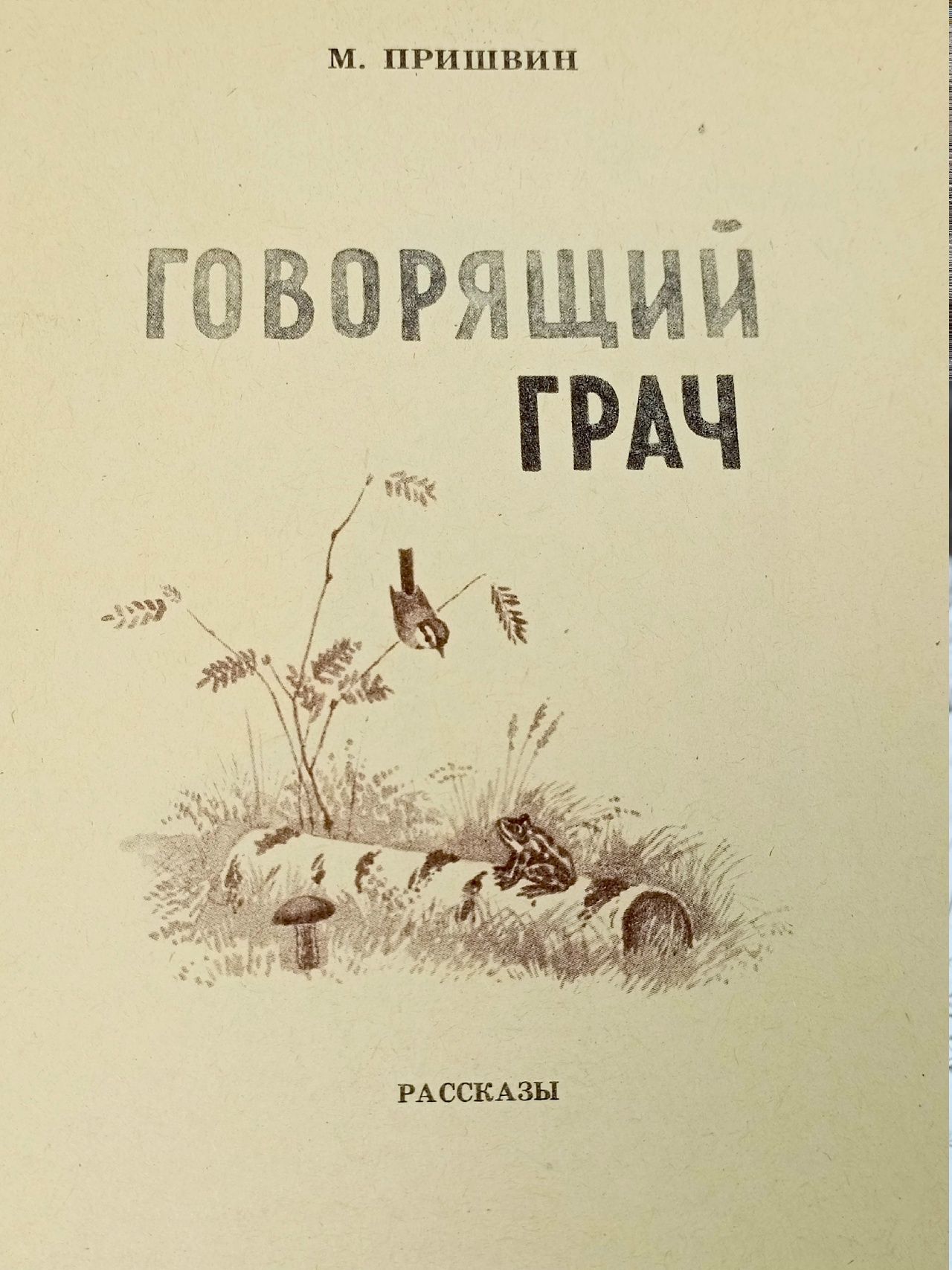 Говорящий грач
