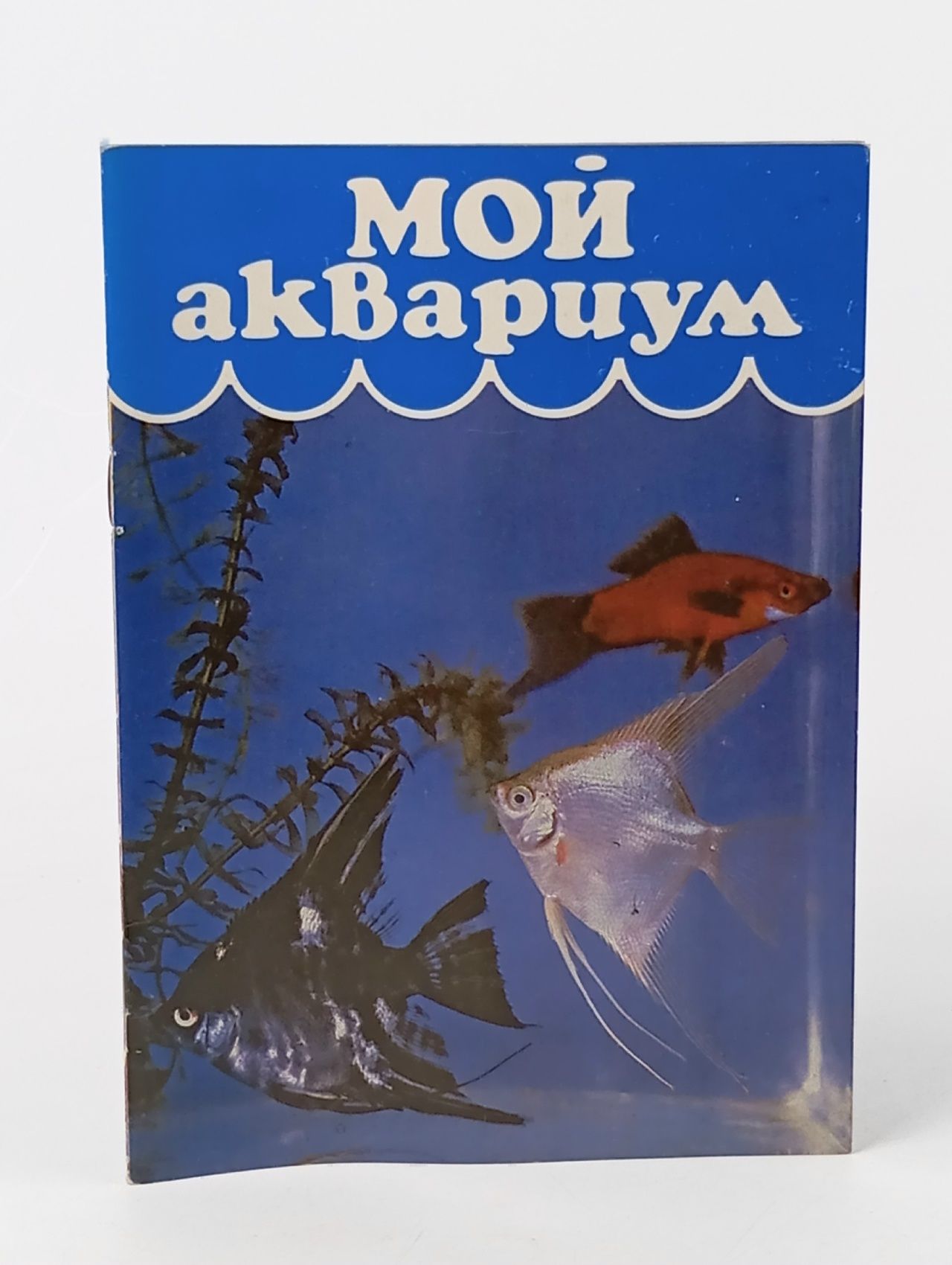 Обложка: Мой аквариум Алфимова Н.