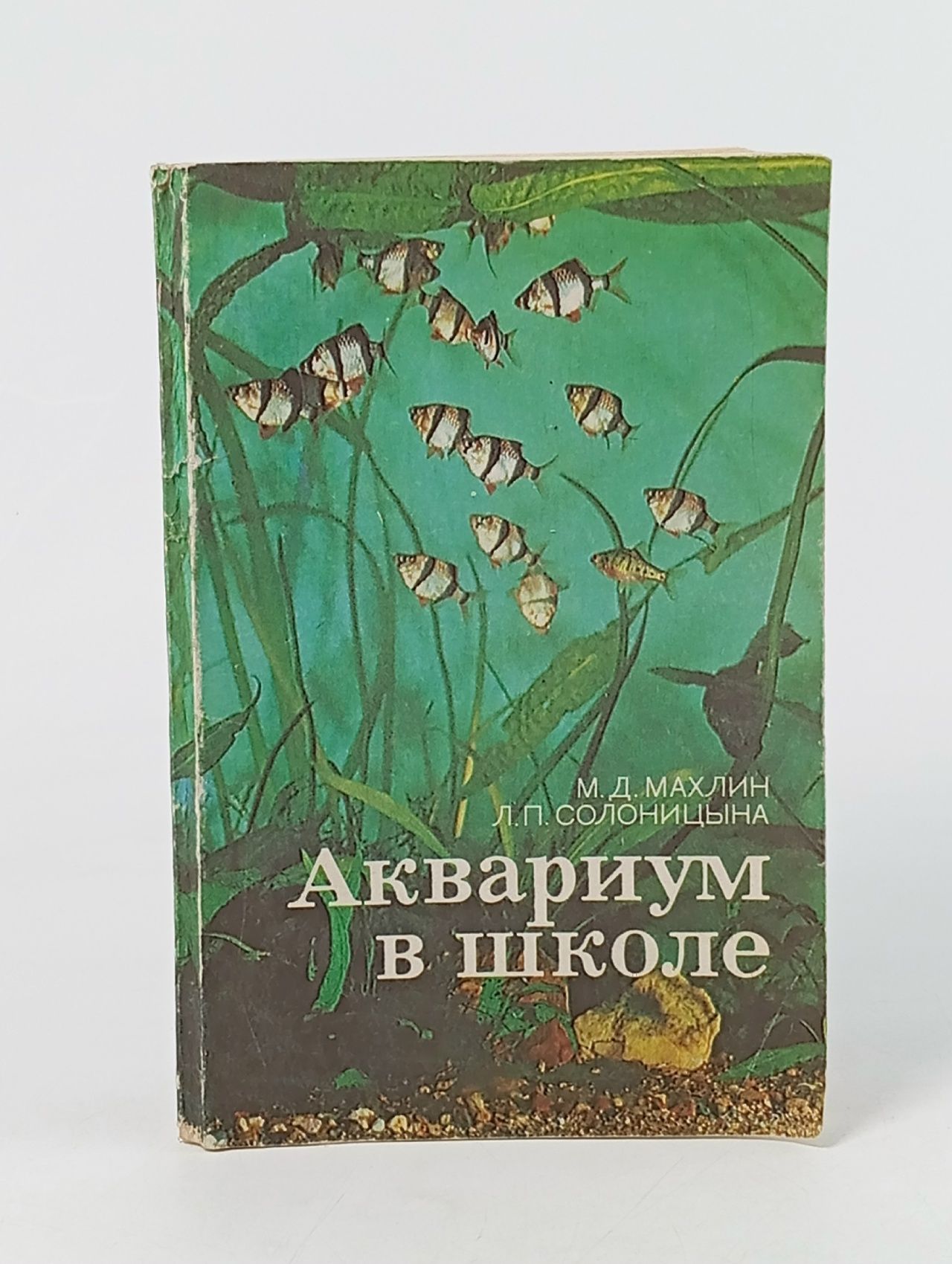 Обложка: Аквариум в школе Солоницына Людмила Петровна, Махлин Марк Давидович