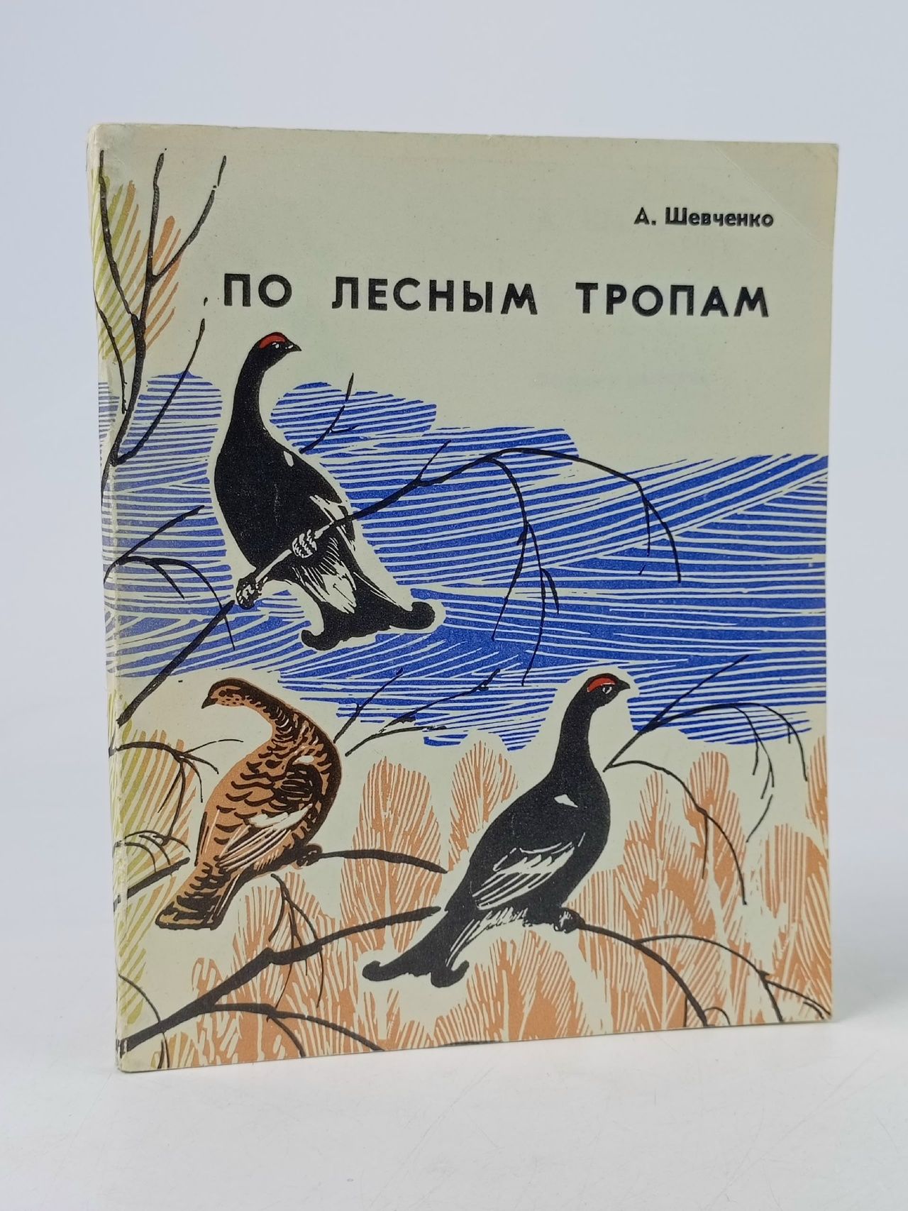 Обложка: По лесным тропам Шевченко Адриан Сергеевич