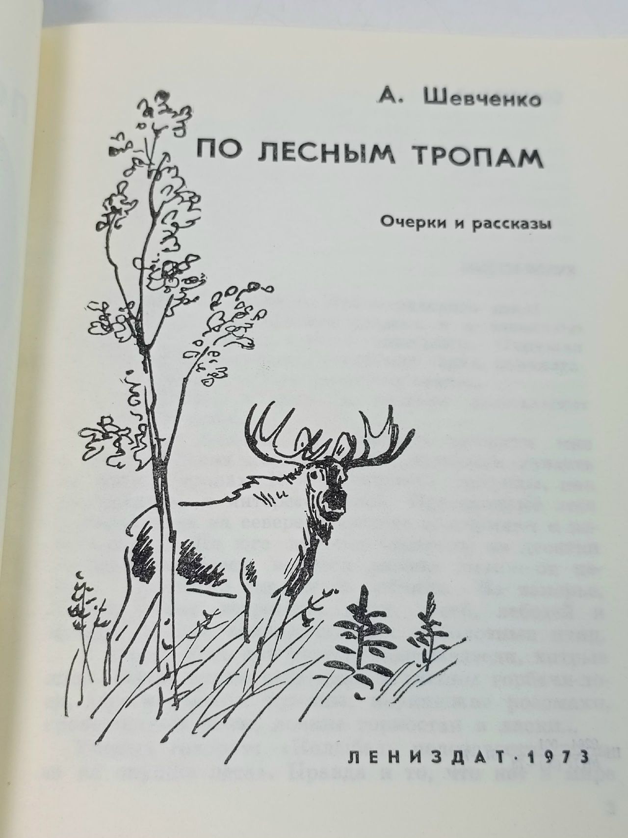 По лесным тропам Шевченко Адриан Сергеевич