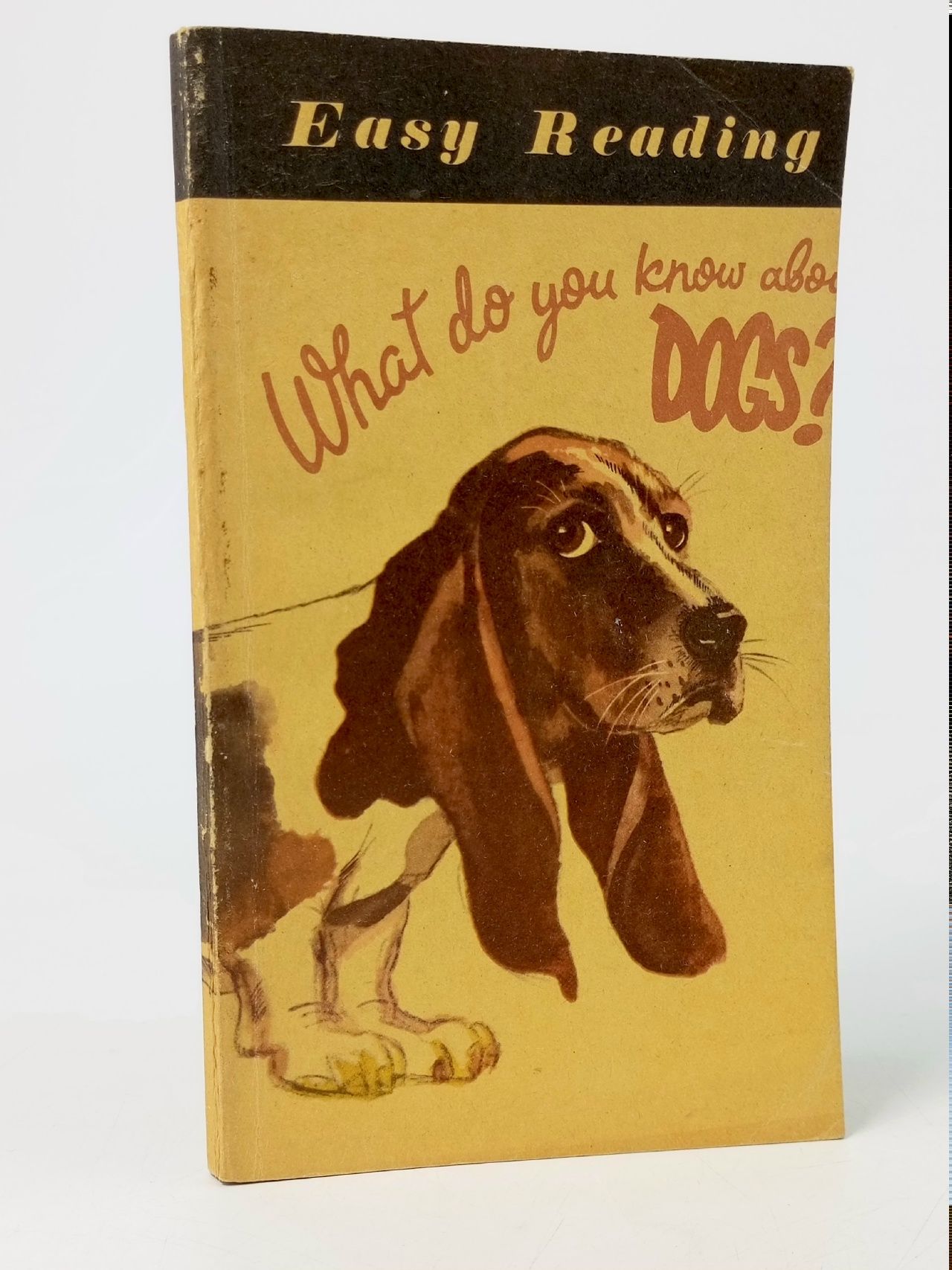 Обложка: What do you know about dogs? / Что вы знаете о собаках?