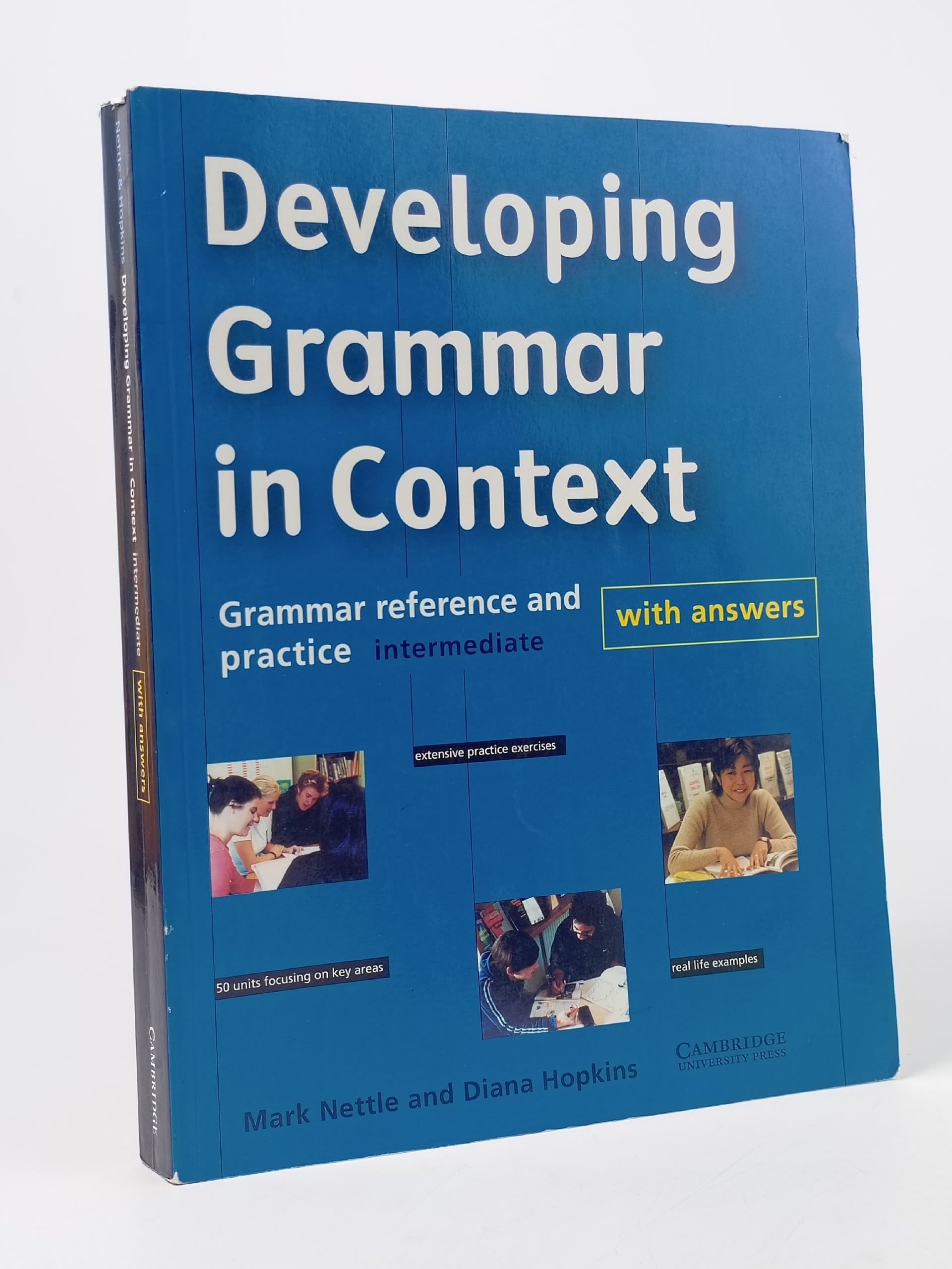 Обложка: Developing Grammar in Context (Intermediate)