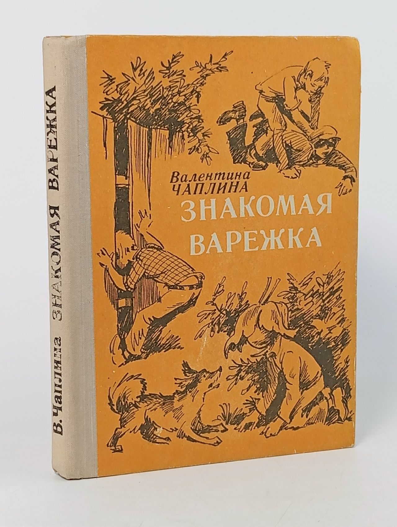 Обложка: Знакомая варежка. Чаплина Валентина Семеновна