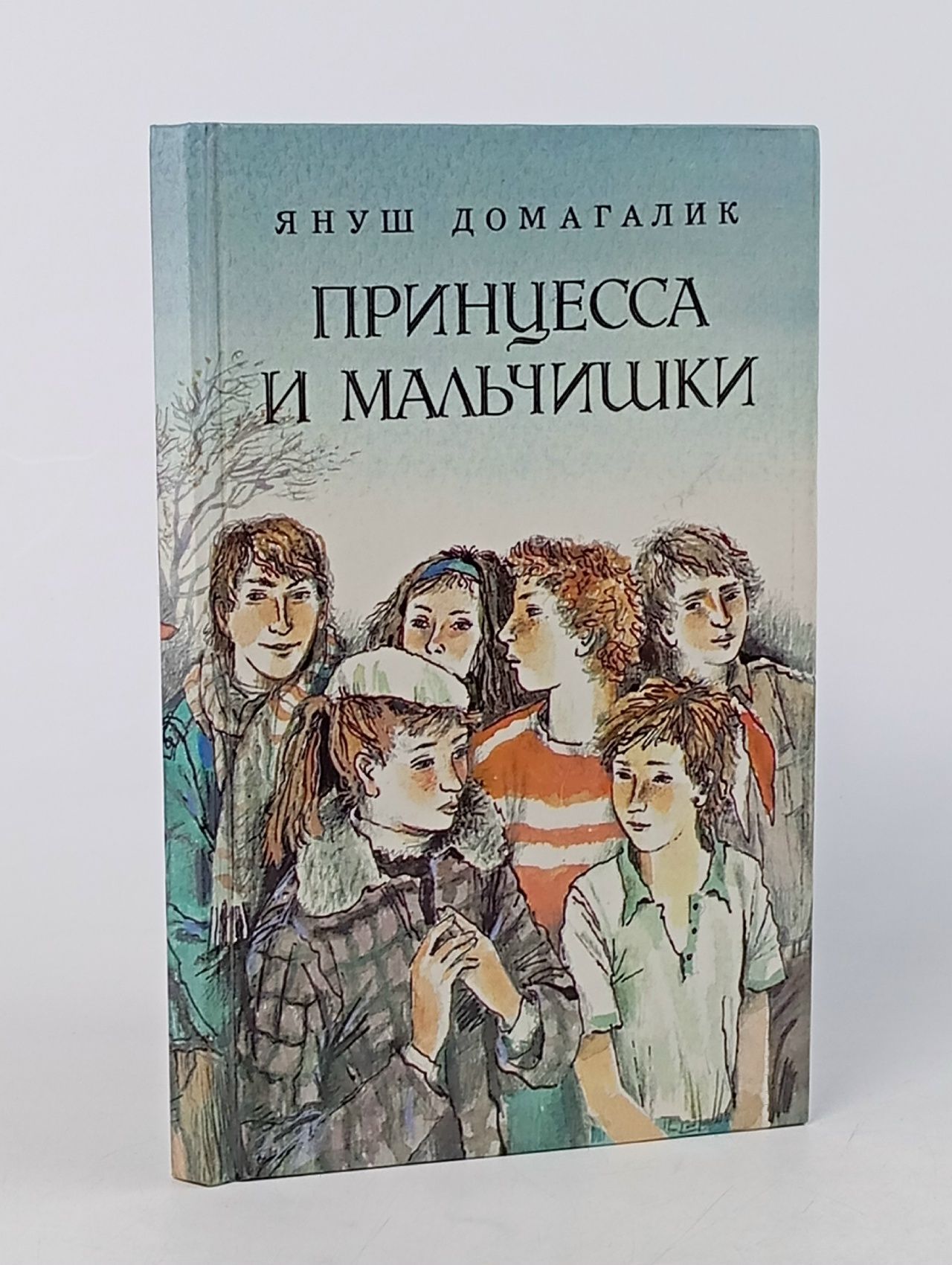 Обложка: Принцесса и мальчишки