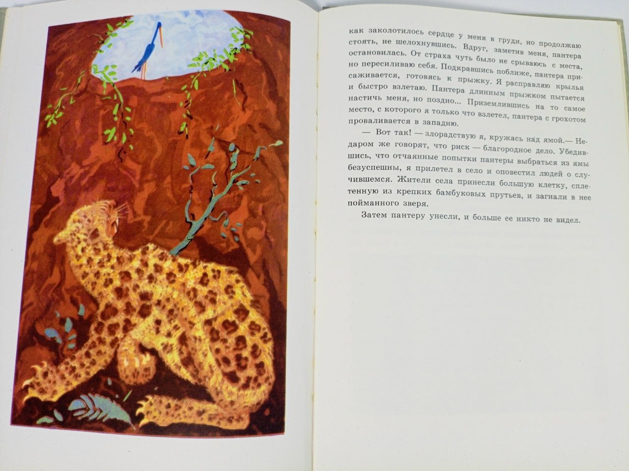 Приключения аиста Димитриу Георгий Владимирович