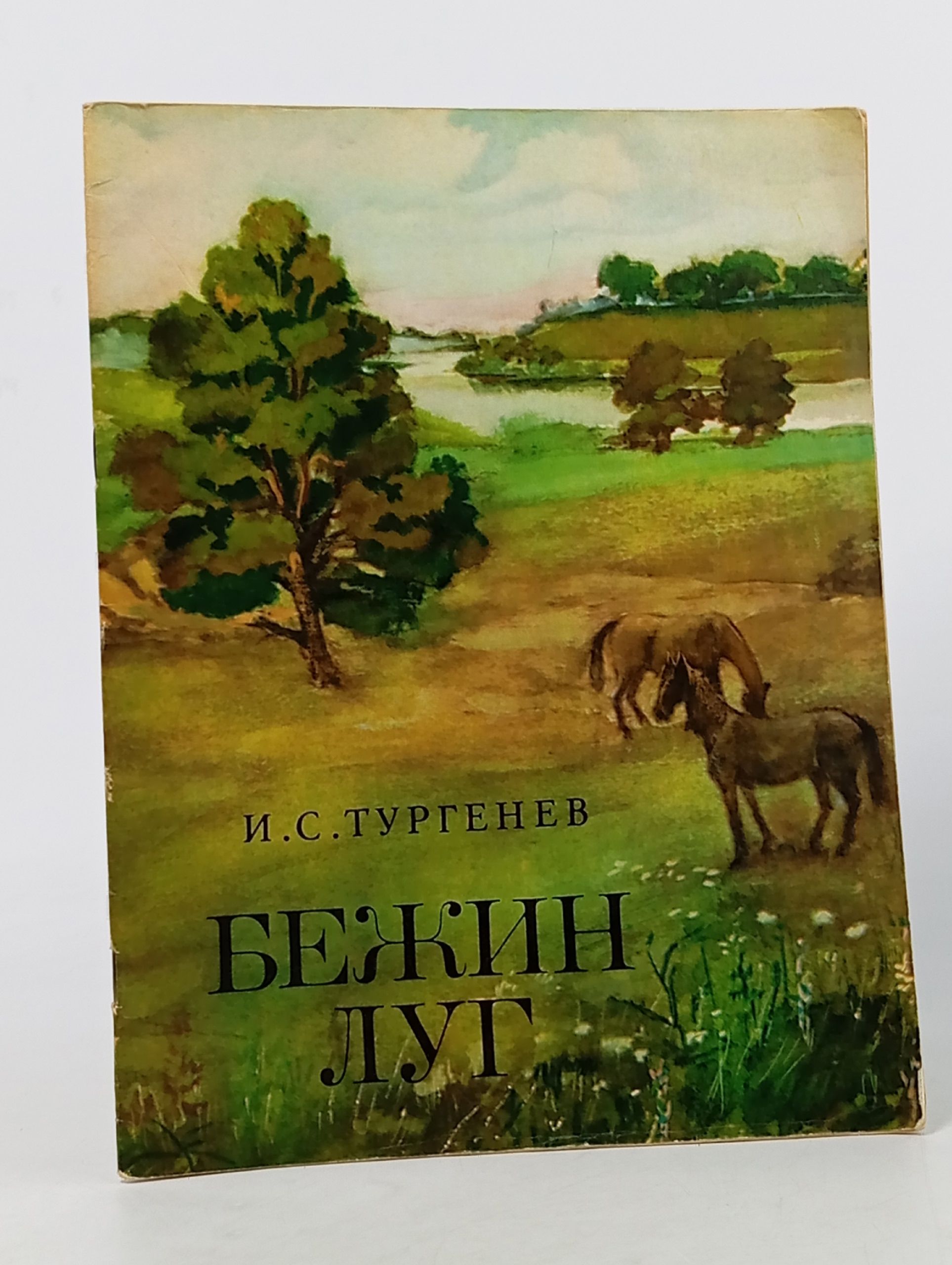 Обложка: Бежин луг Тургенев Иван Сергеевич