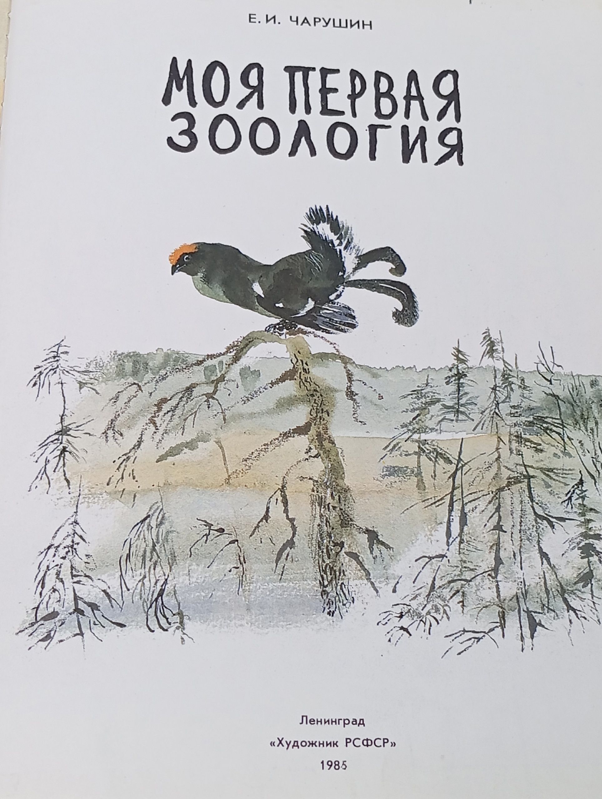 Моя первая зоология