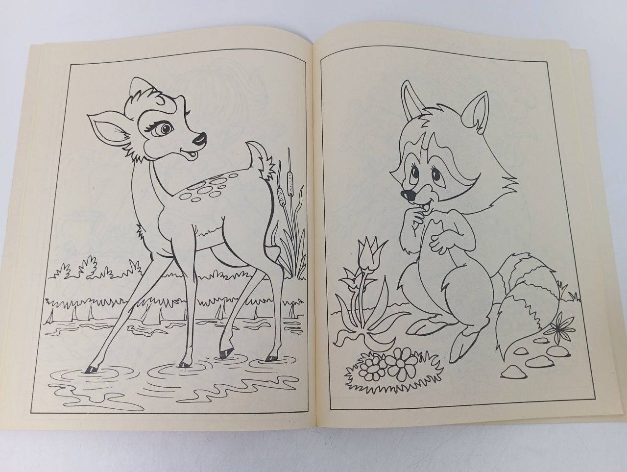 Книжка-раскраска Color