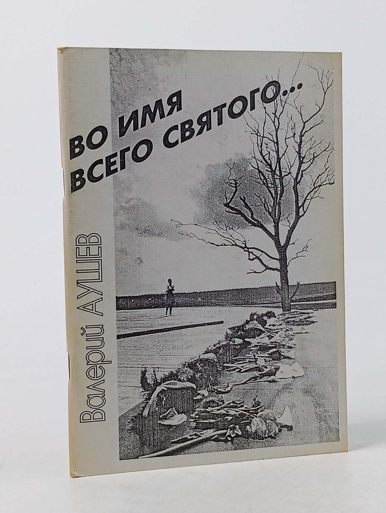 Обложка: Во имя всего святого