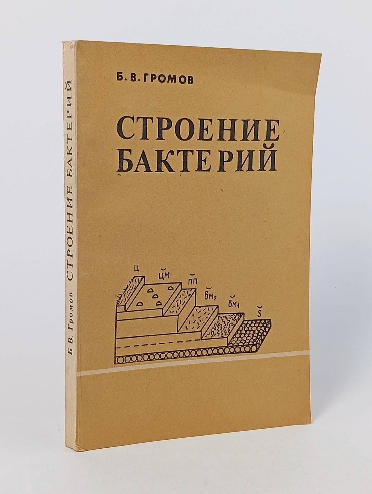 Обложка: Громов Б. В. Строение бактерий.