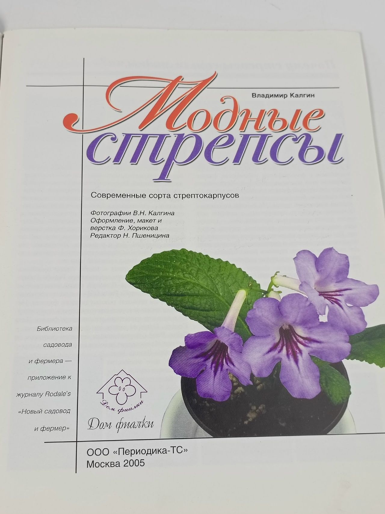 Фотоальбом Модные стрепсы