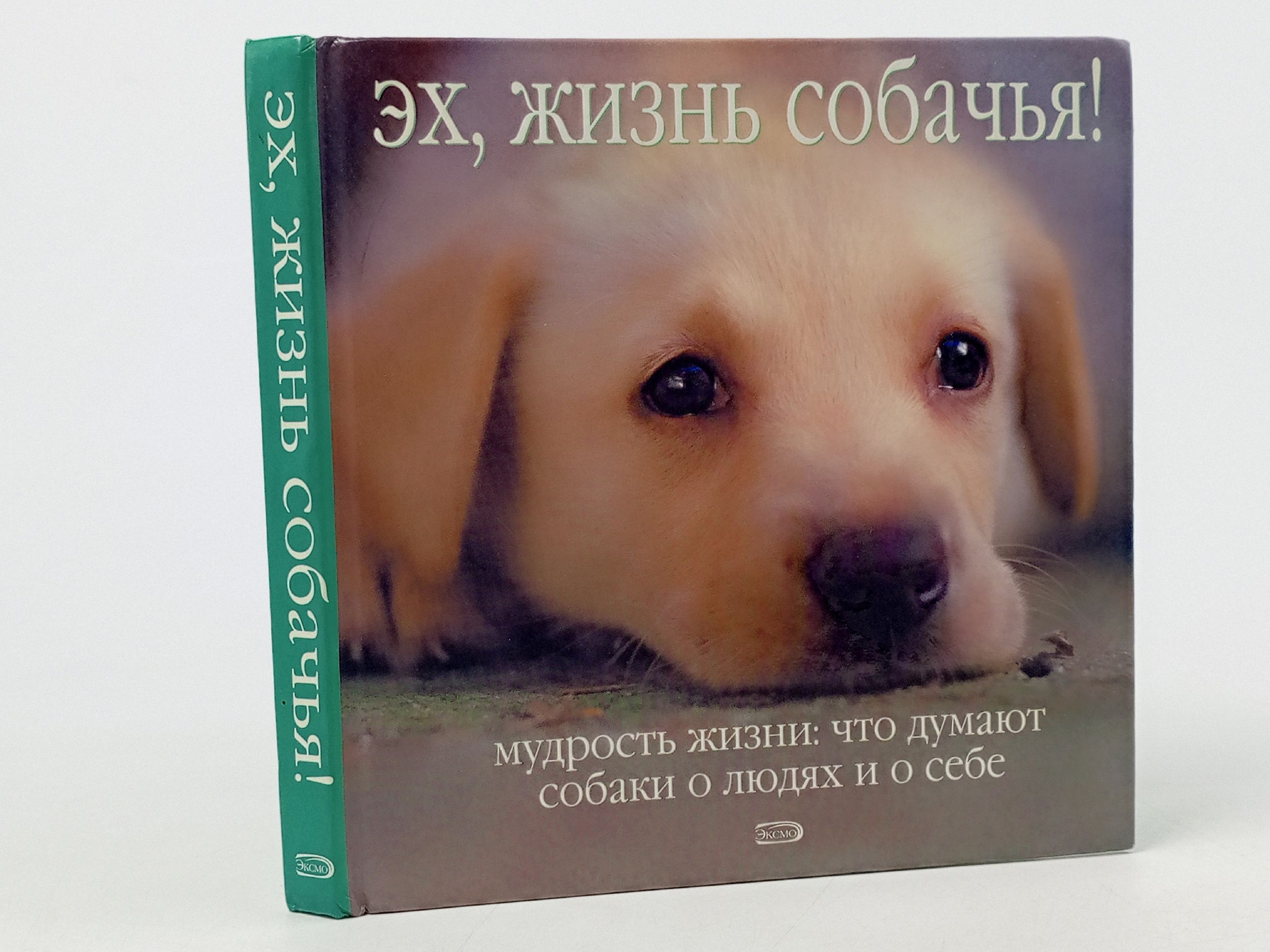 Обложка: Эх, жизнь собачья! Мудрость жизни: Что думают собаки о людях и о себе.
