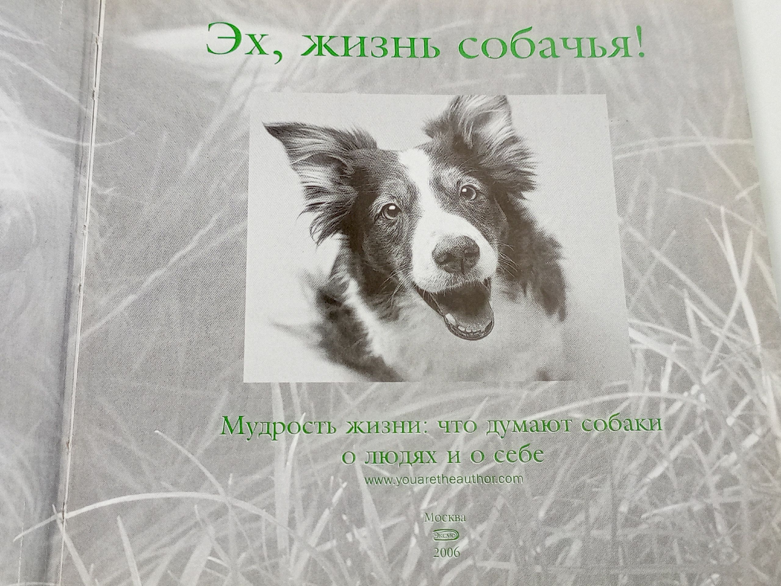 Эх, жизнь собачья! Мудрость жизни: Что думают собаки о людях и о себе.