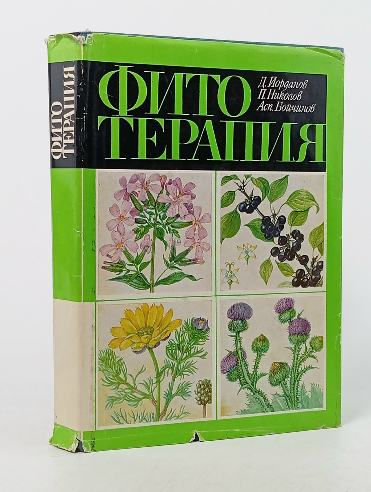 Обложка: Фитотерапия (Лечение лекарственными травами) Йорданов Д., Николов П. Йорданов Д., Николов П.
