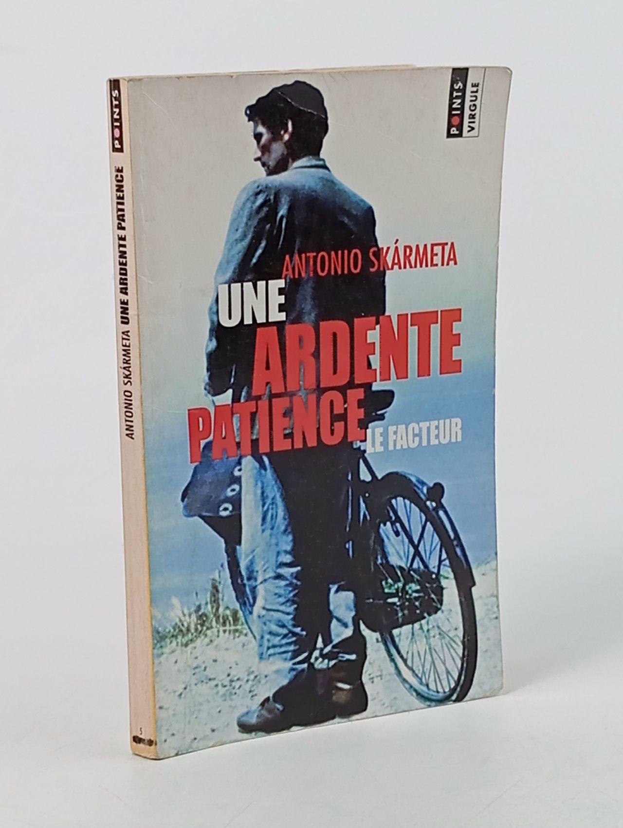 Обложка: "Une ardente patience" (Пылающее терпение)