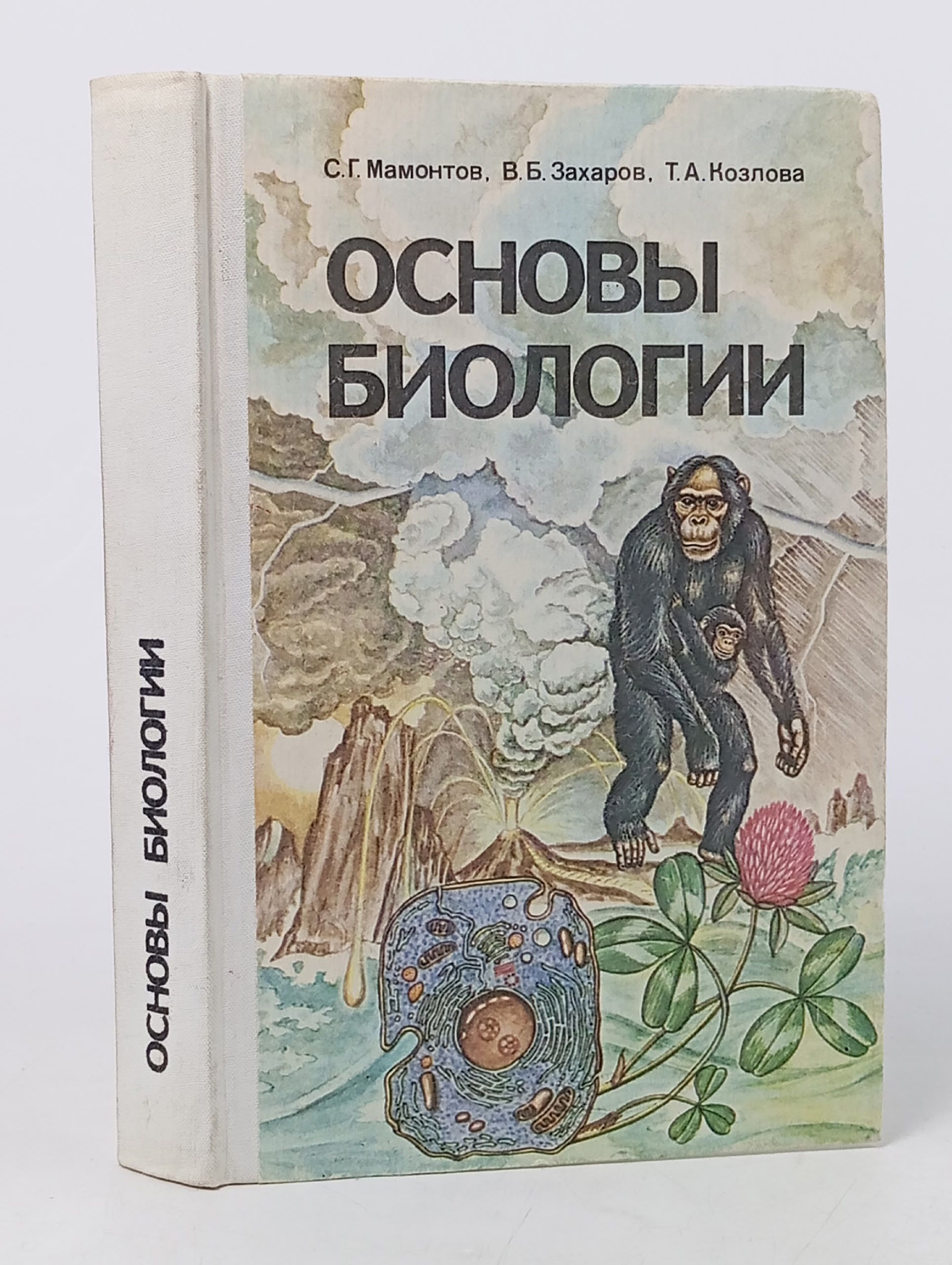 Обложка: Основы биологии. Курс для самообразования / С. Г. Мамонтов, В. Б. Захаров, Т. А. Козлов