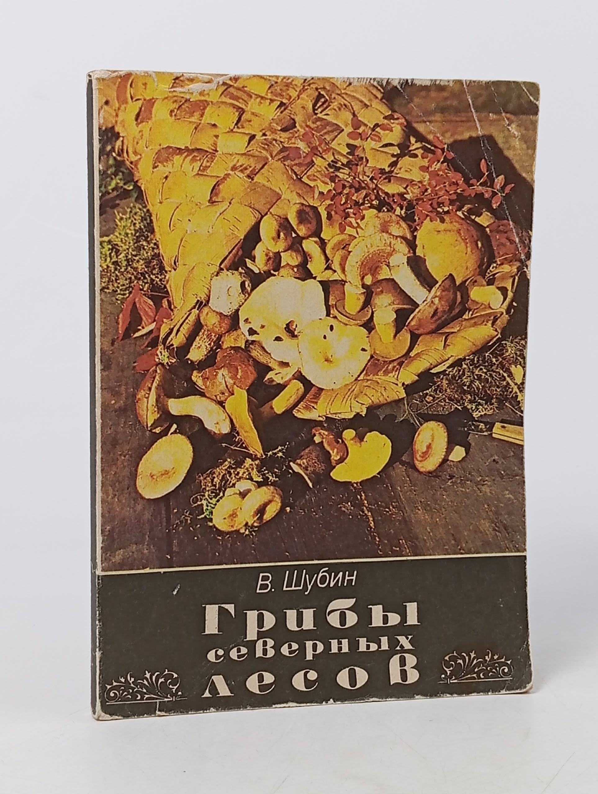 Обложка: Грибы северных лесов. Шубин В.И.