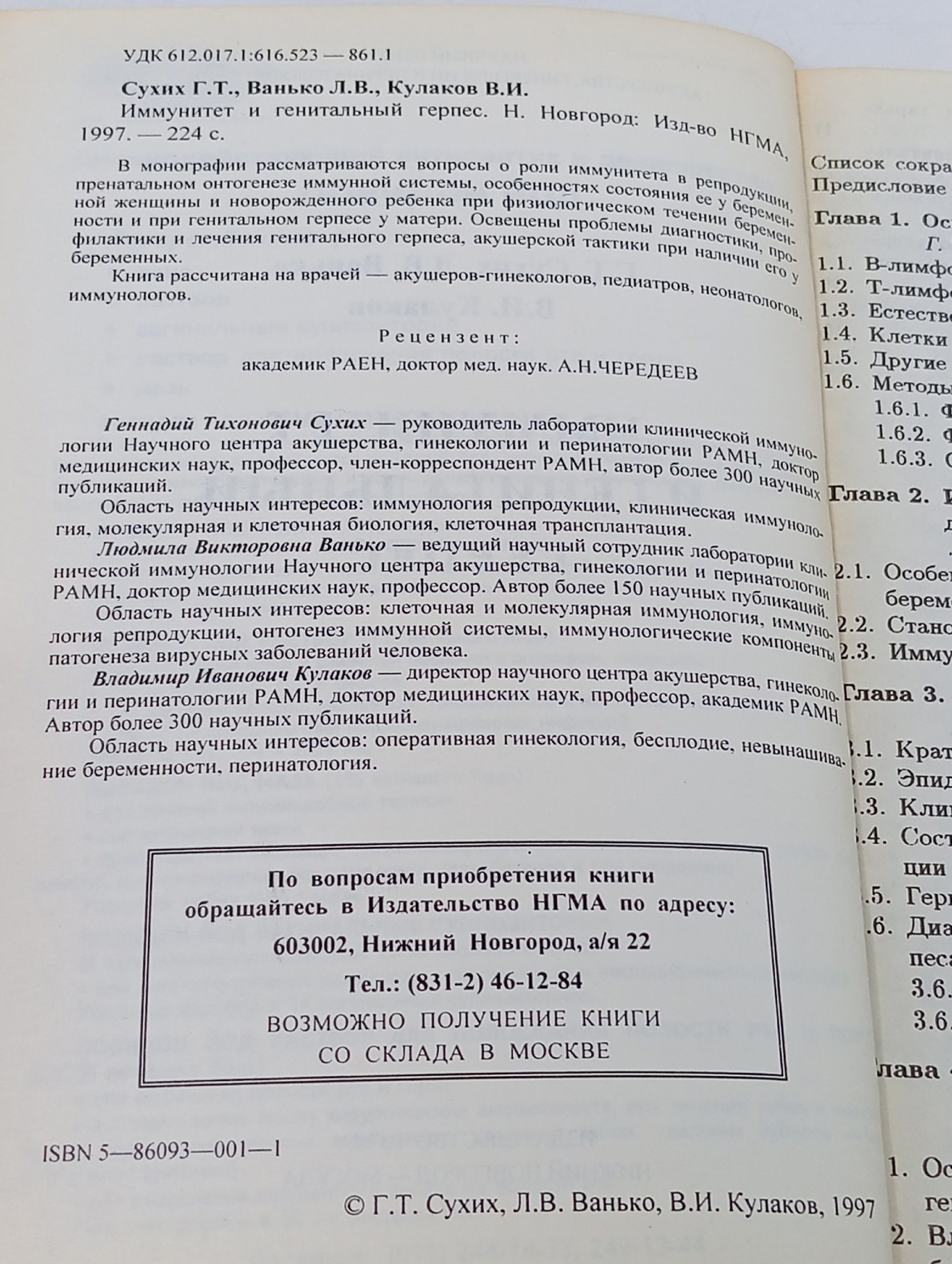 Иммунитет и генитальный герпес