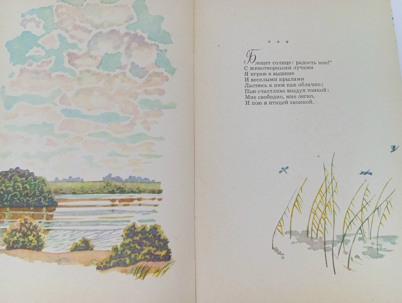 Е. Баратынский. Стихотворения Баратынский Евгений Абрамович