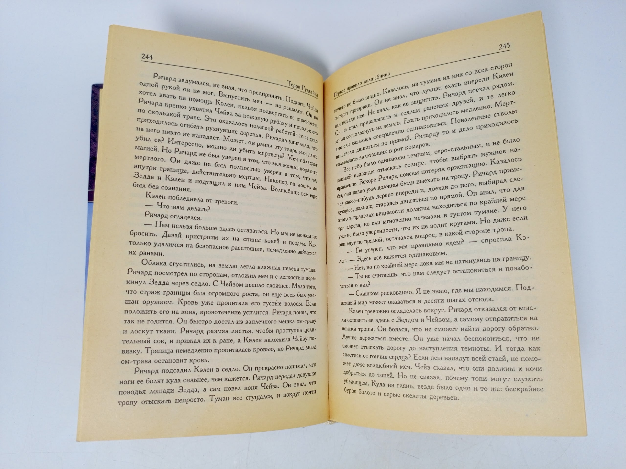 Первое Правило Волшебника (комплект из 2 книг) Гудкайнд Терри
