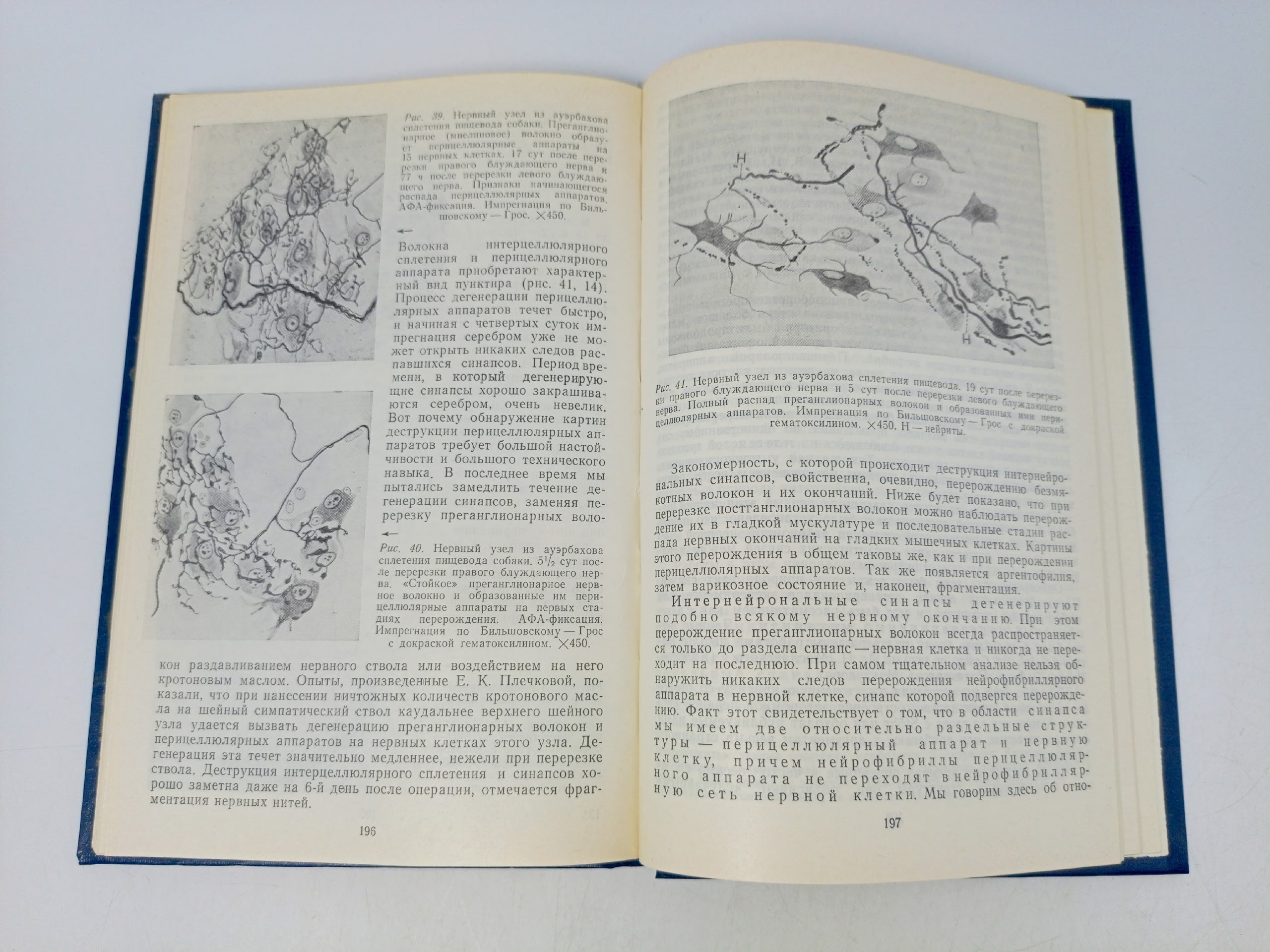 Теория строения вегетативной нервной системы Лаврентьев Б.