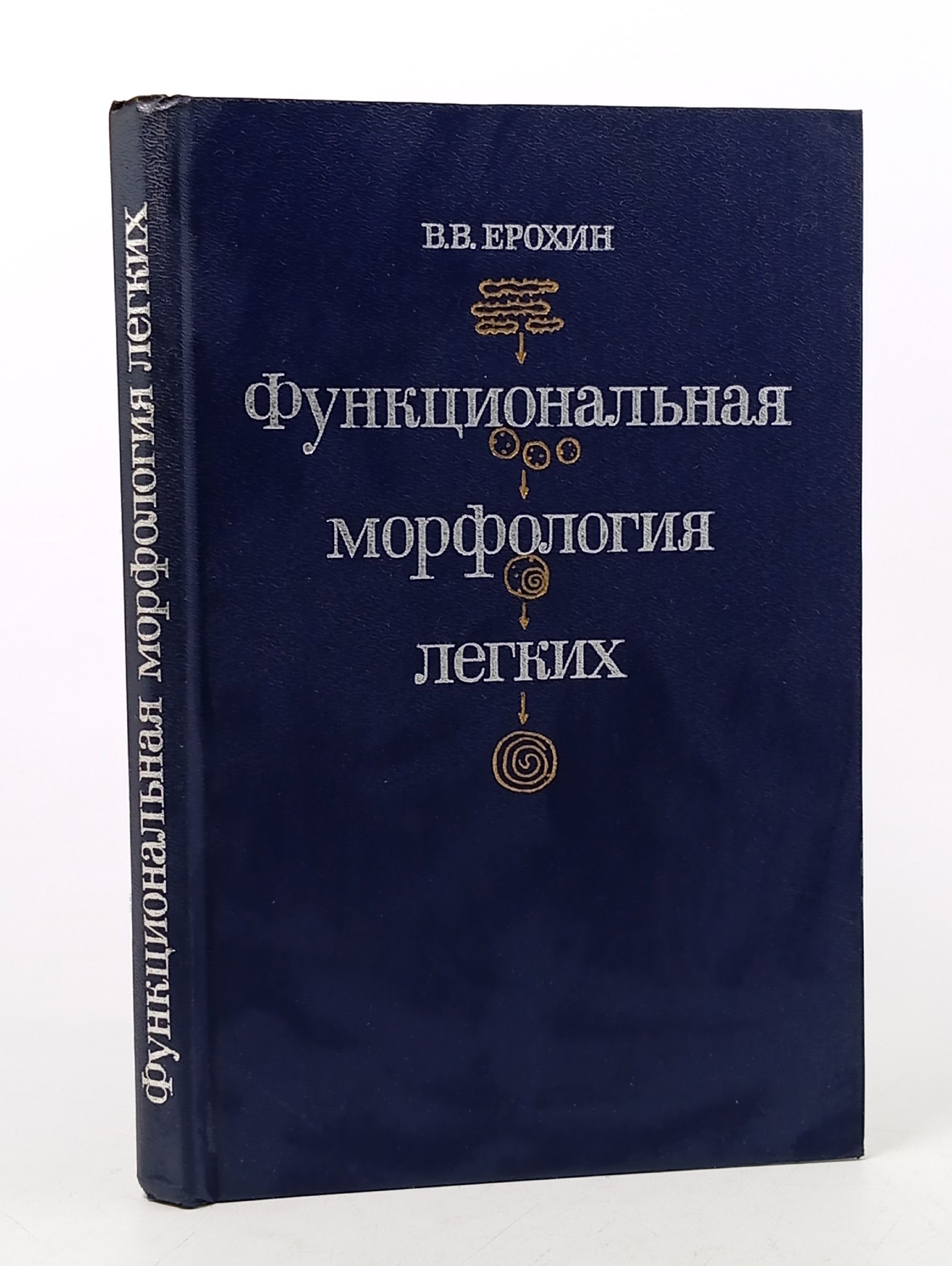 Обложка: Функциональная морфология легких